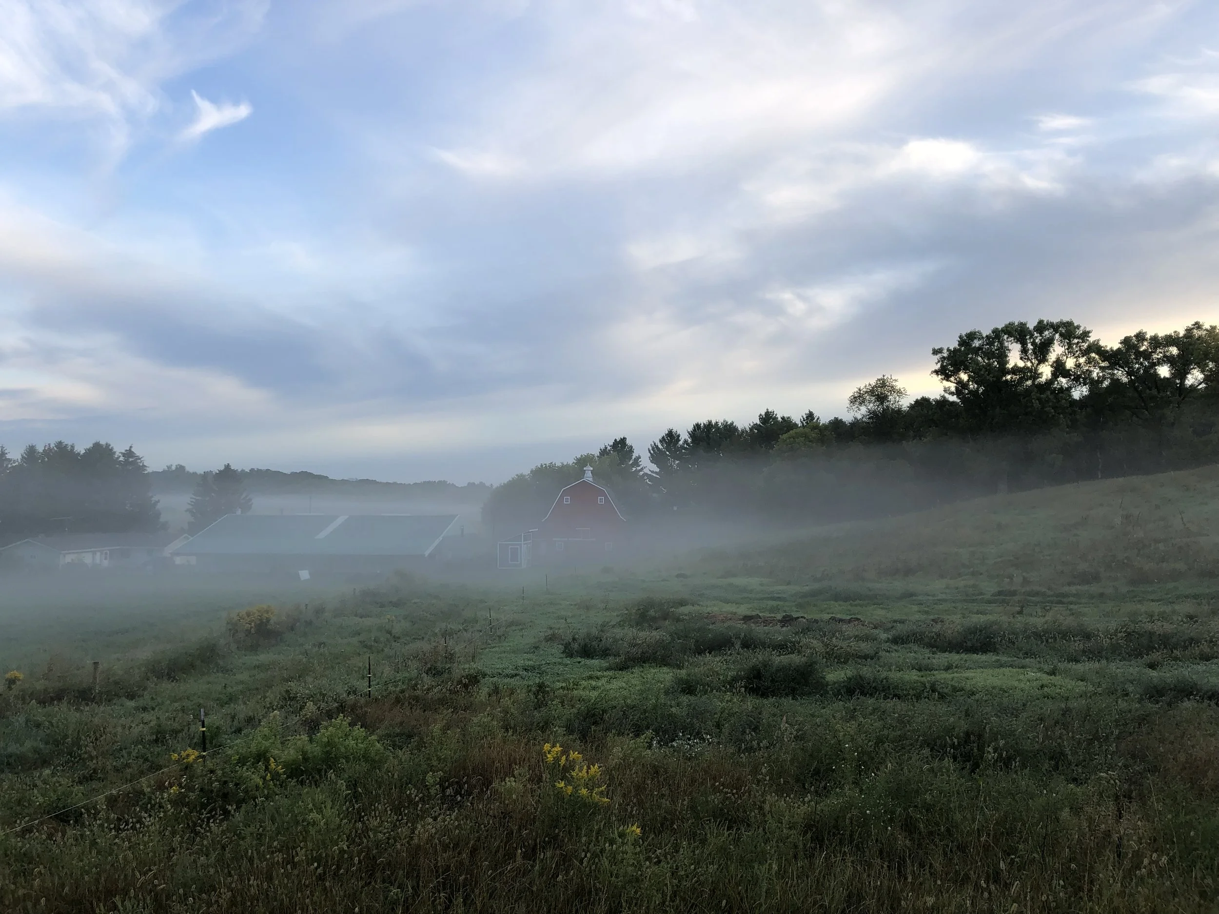 River Falls, WI - Wild Heart Farm