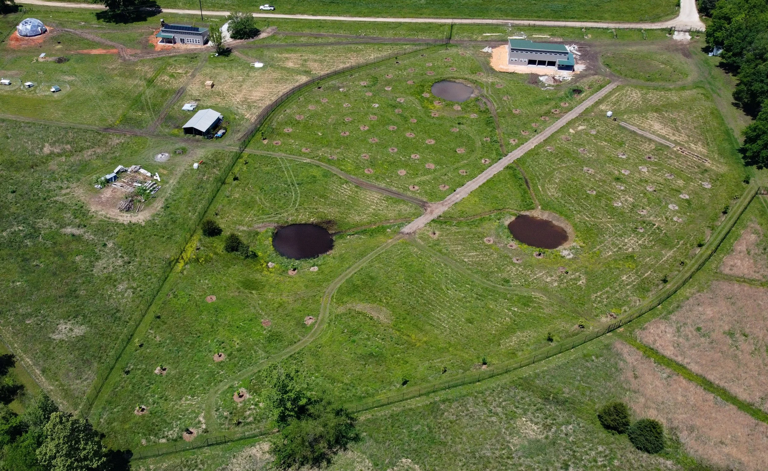 Lincoln, AR - Jordan Creek Farm