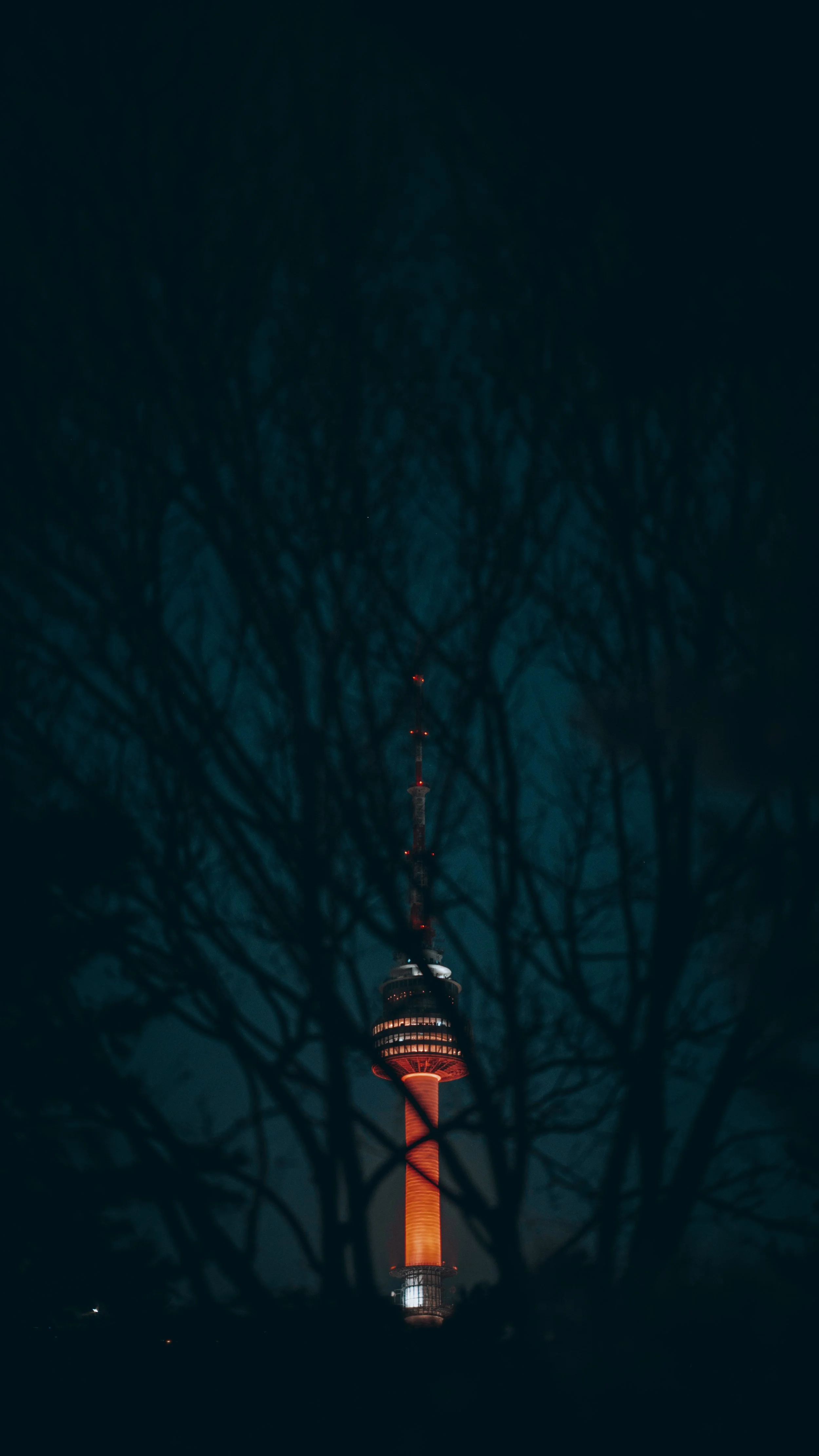 Trip to the tower-31.jpeg