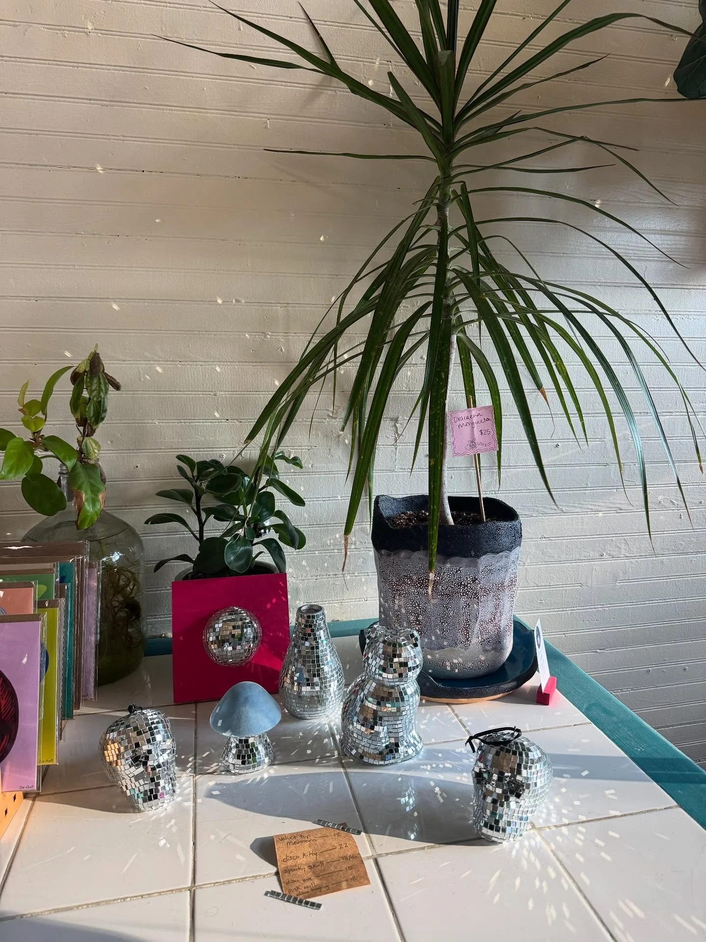 ✨ spooooky season ✨ I think you need a plant, fall drink, and a little disco skull 
💀🪴☕️