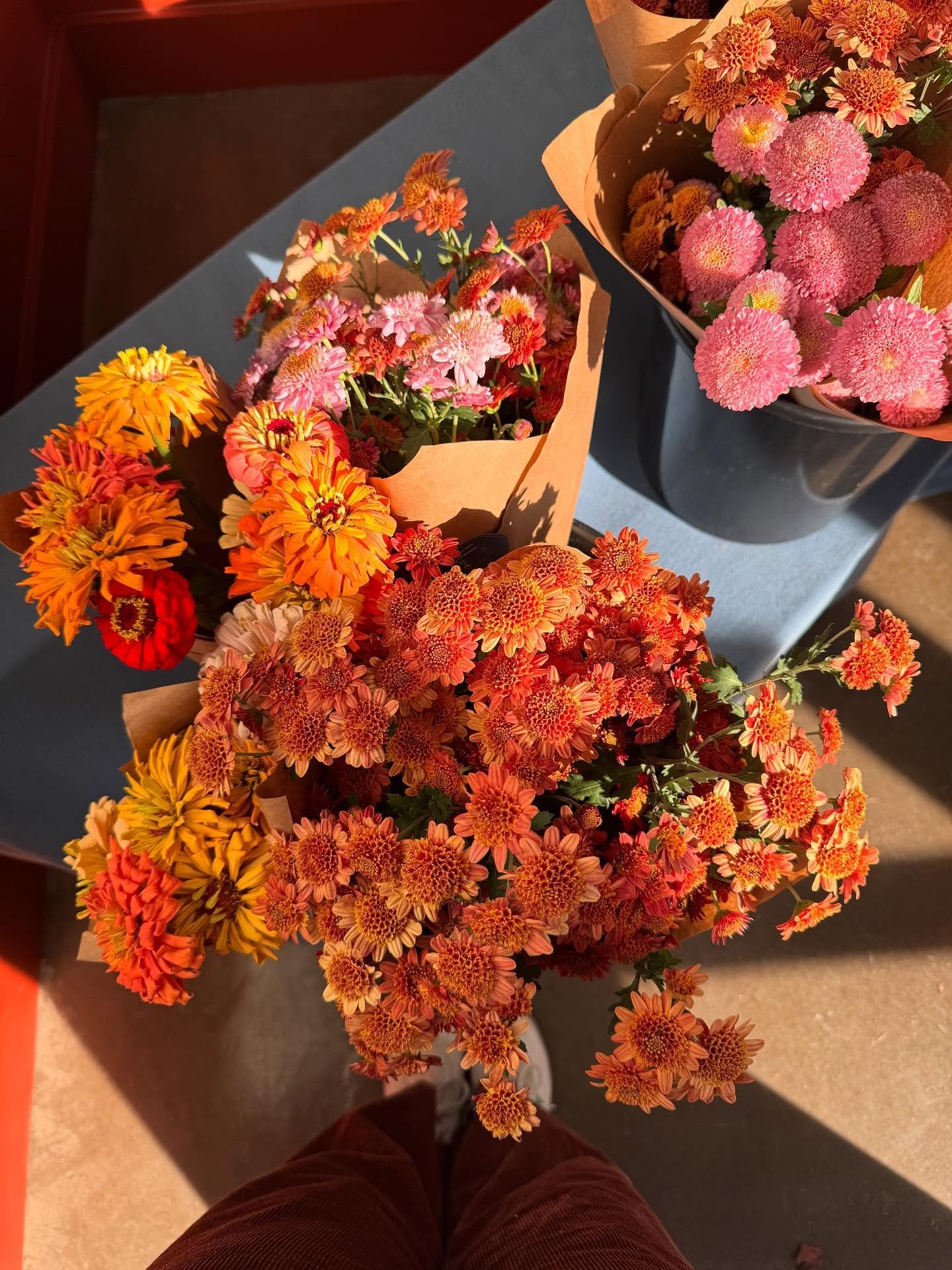 your girl clover is here at @blueridgeflowerexchange today!!!!! come by and see me and get the perfect fall flowers for your coffee table 🍂✨