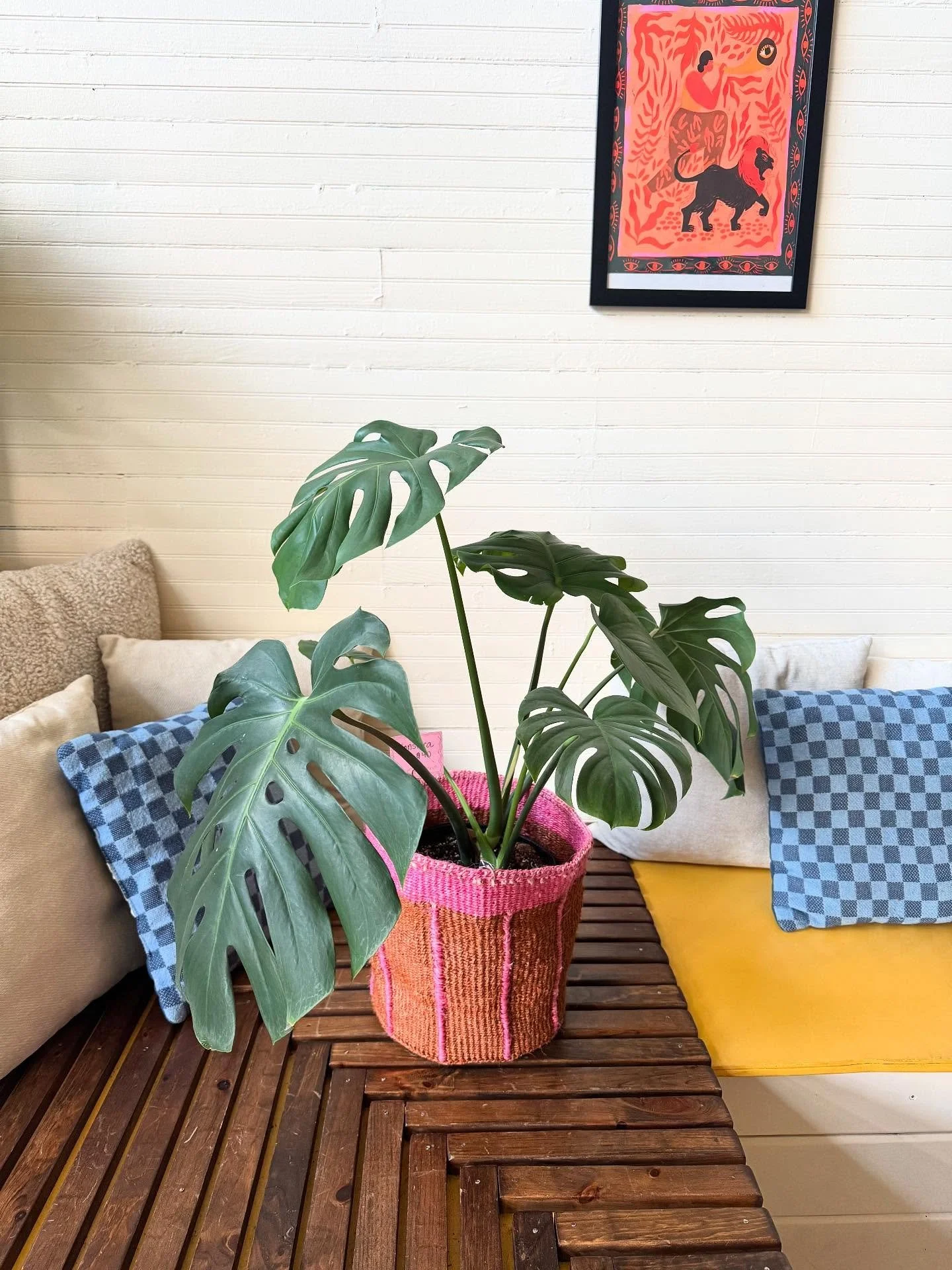 newbies in @second.cafe ✨