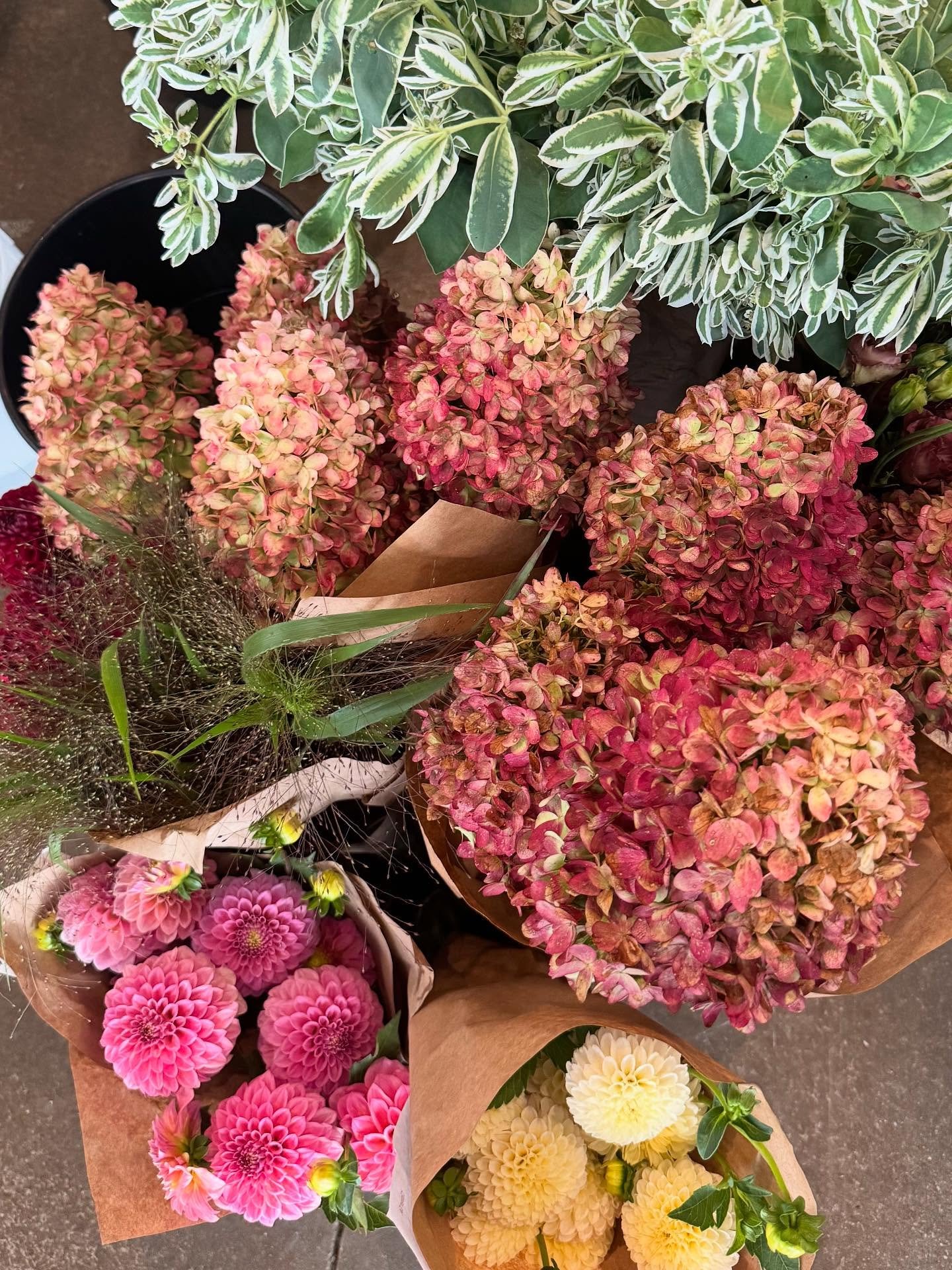 fall flowers + your mashed potatoes!! 

Make your Thanksgiving centerpiece orders asap for pick up on the 25th. 🍗link in bio