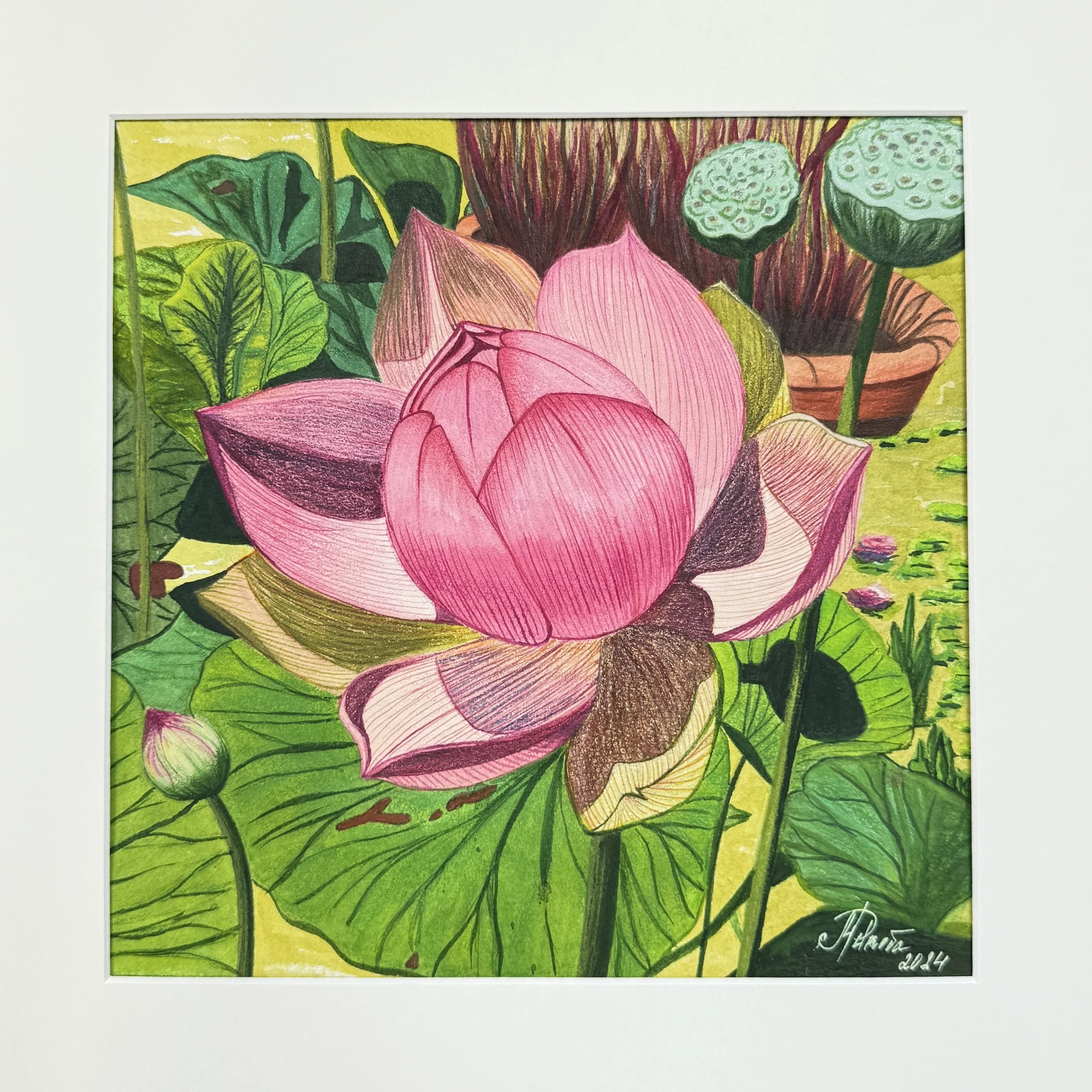 Original Lotus Flower Botanical Art Print