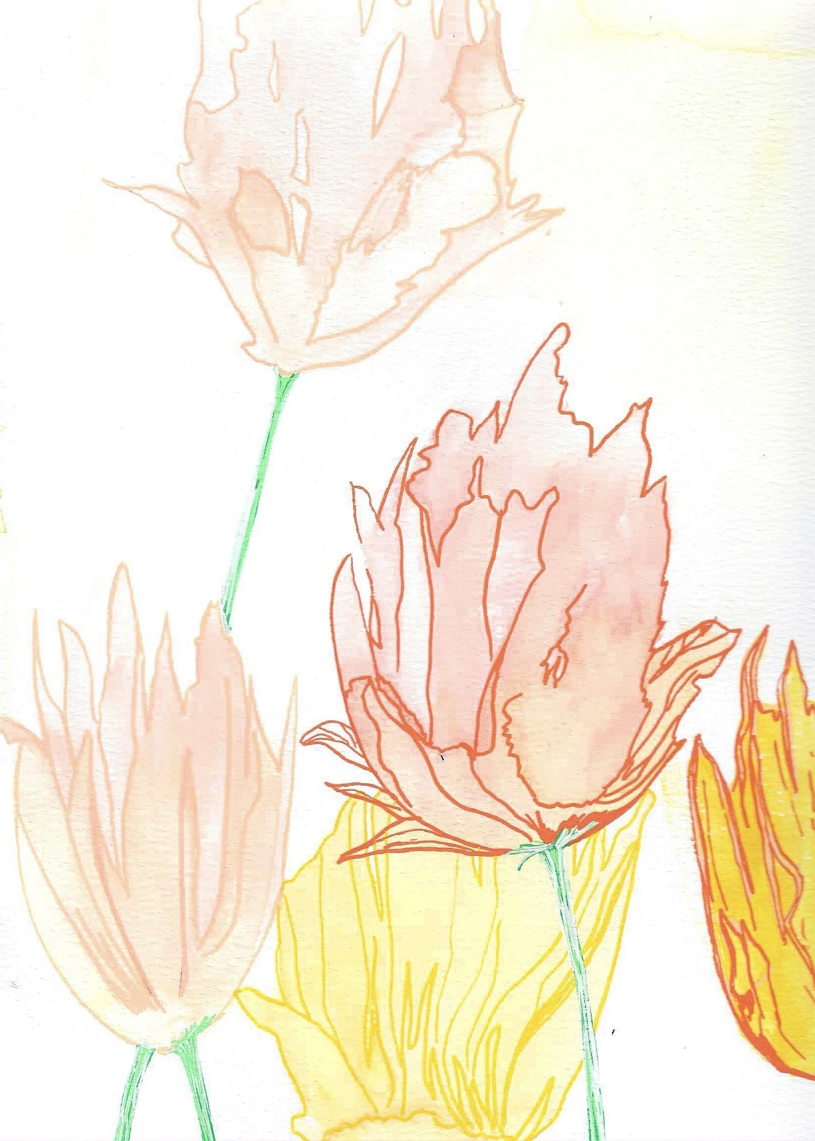 simple bloom