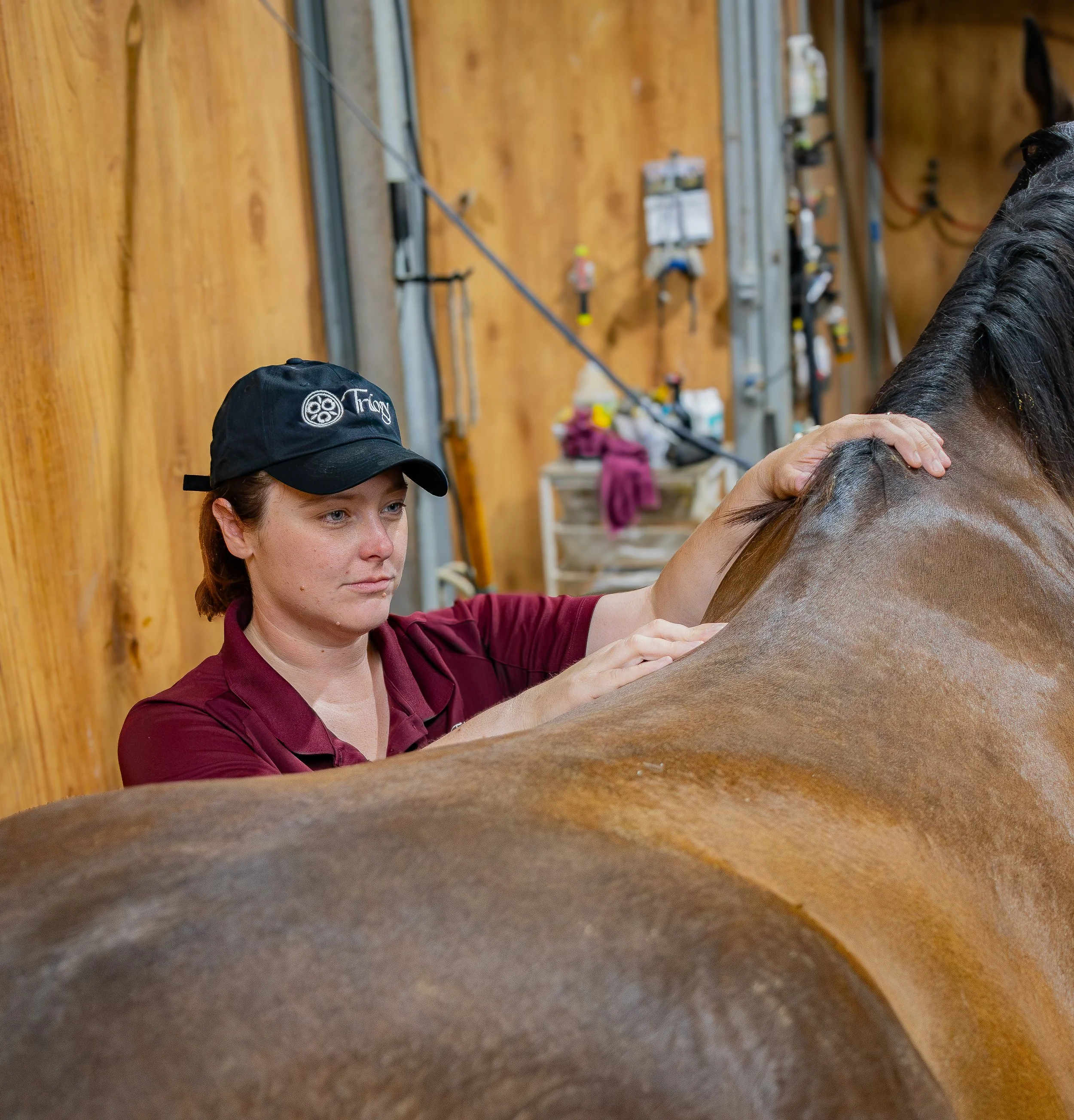A woman with reddish-brown hair wearing a black cap with white embroidery, palpating a horses back during a saddle fitting.