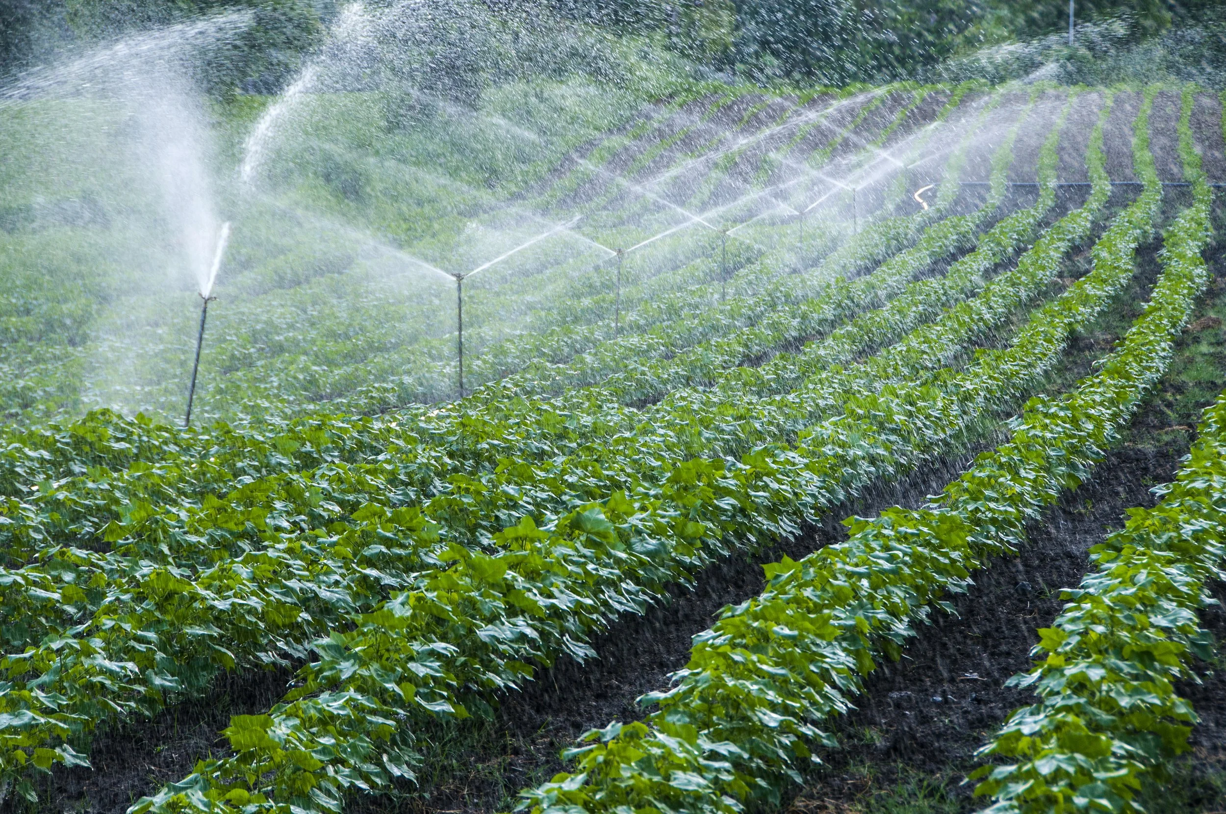 Water Rights in Queensland: Is It Legal to Take Water from Your Land?
