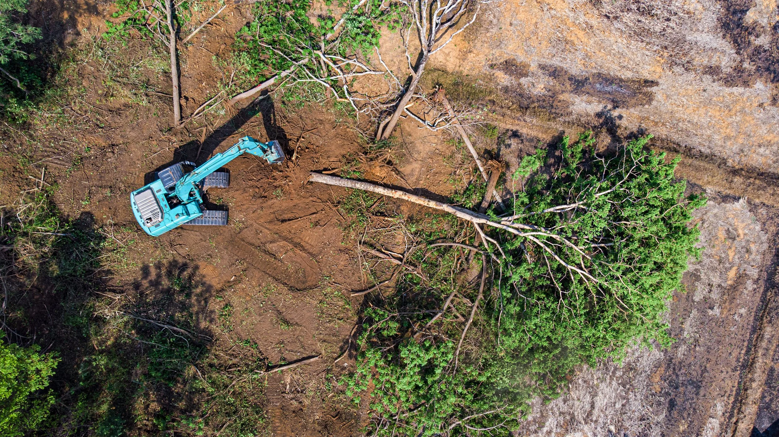 Land clearing in the Scenic Rim: what approvals do you need?