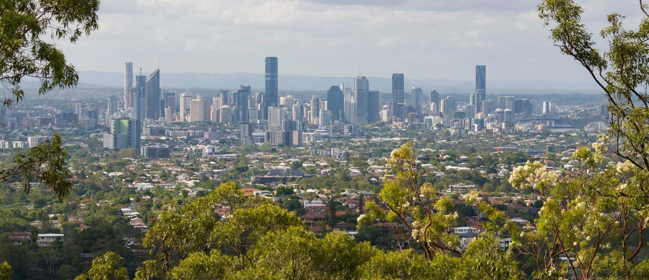 Panoramic view of downtown skyscrapers with surrounding residential area, framed by greenery and trees in the foreground.