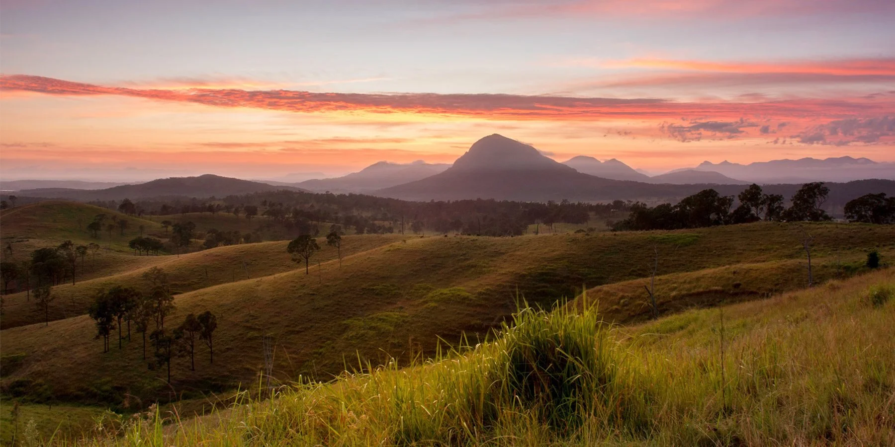 A scenic landscape of rolling hills at sunset with a mountain in the background, pink and orange clouds, sparse trees, and tall grass in the foreground.