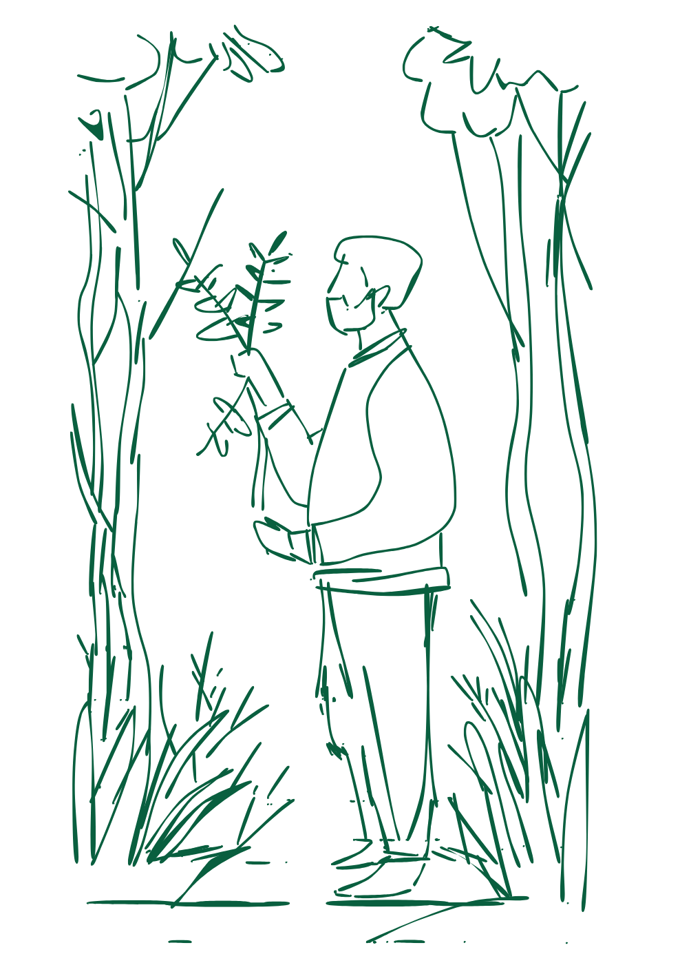 Line drawing of a man in a jacket looking at a plant in a natural outdoor setting surrounded by tall grasses and trees.