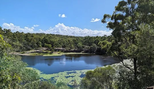 A scenic view of a serene lake surrounded by lush green trees and foliage, with a clear blue sky overhead.