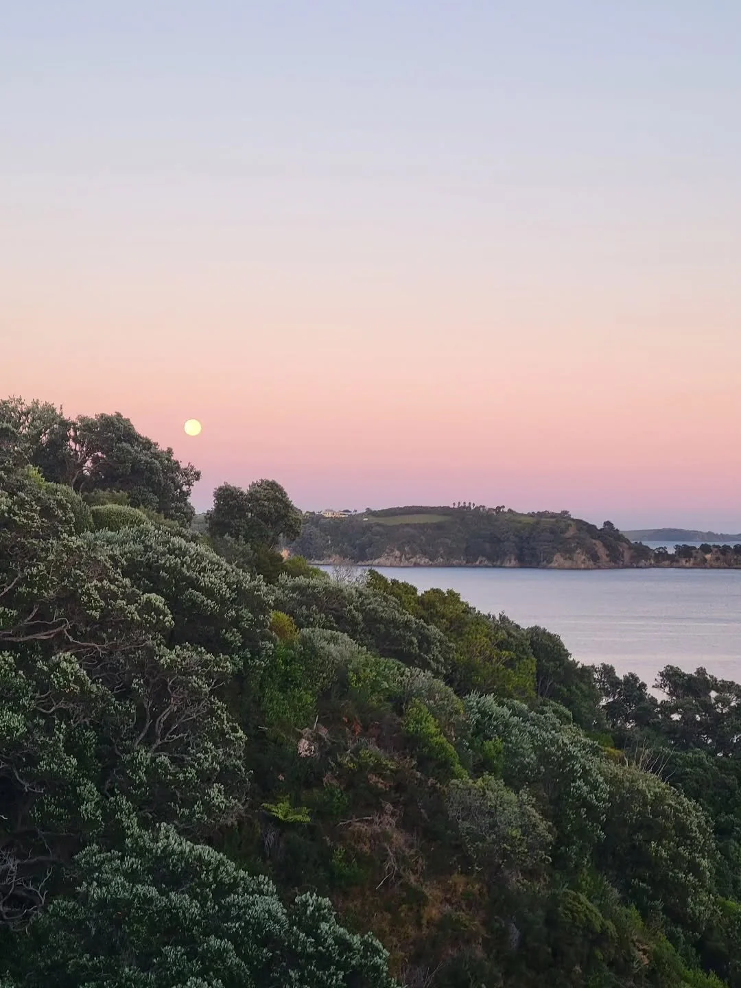 R E A D I N G // i love you to the moon &amp;

not back, let&rsquo;s not come back, let&rsquo;s go by the speed of&nbsp;
queer zest &amp; stay up&nbsp;
there &amp; get ourselves a little&nbsp;
moon cottage (so pretty), then start a moon garden&nbsp;
