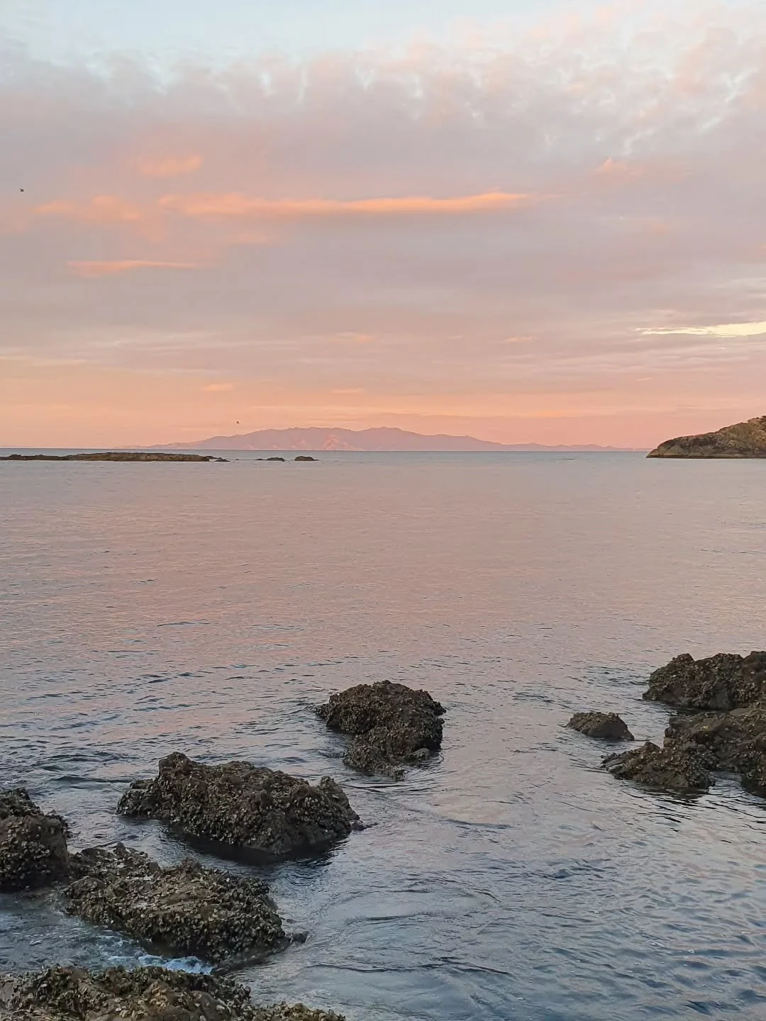 R E A D I N G // Dust by Harry Baker

Its not the flowers, its the weeding in the mud with you

It&rsquo;s not the champagne it&rsquo;s that cuppa in that favourite mug you use

It&rsquo;s knowing anything I eat will include some for you
Because you&