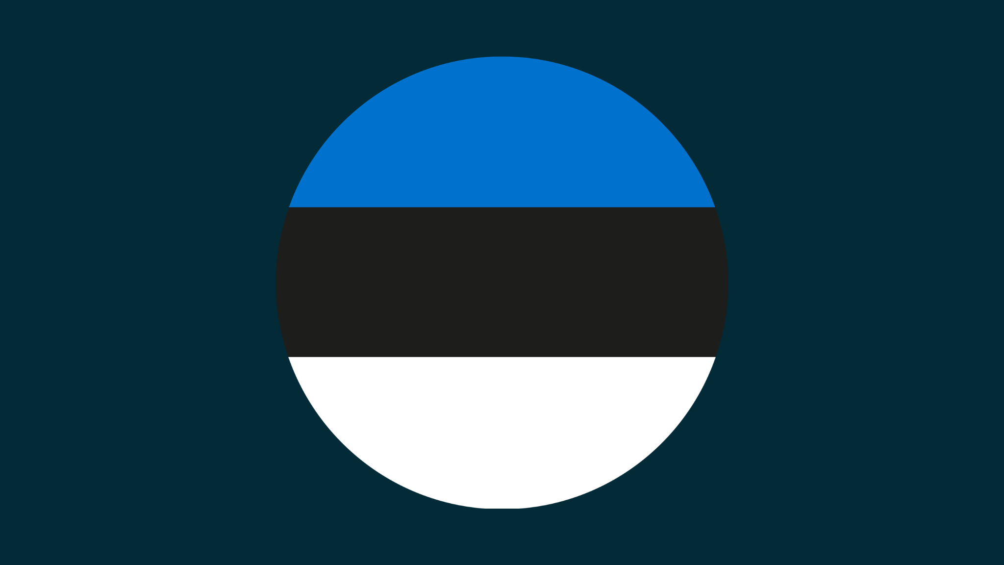 Estonia Company Registry: 2026 KYB Guide