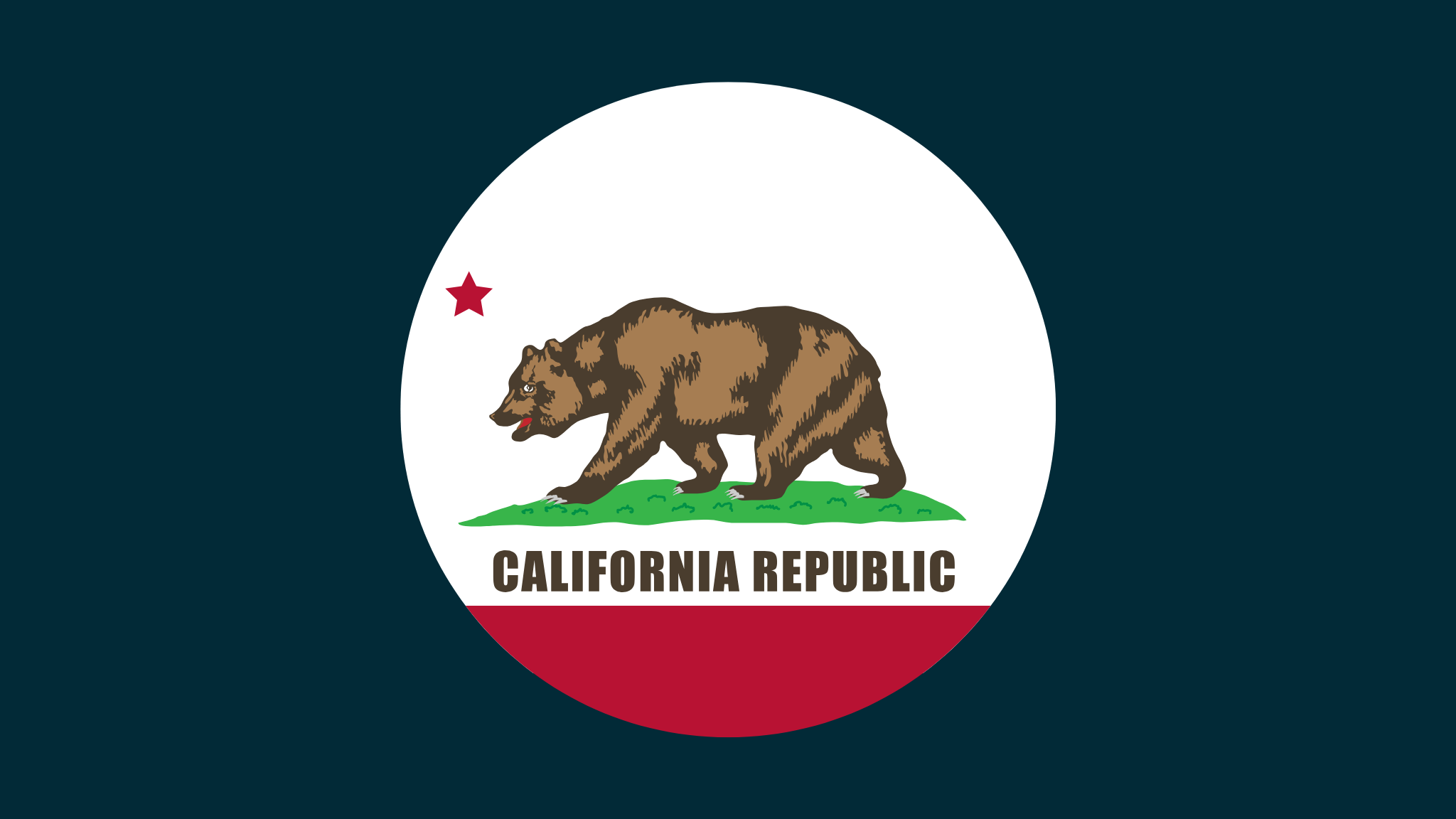 California Business Registry (2025 Update)