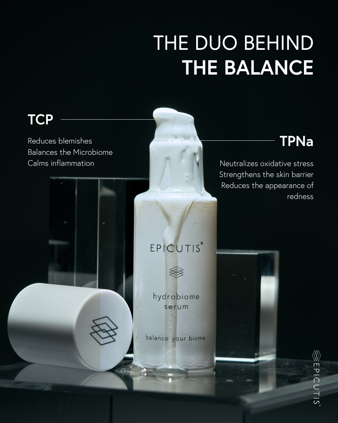 The Duo Behind the Balance.png