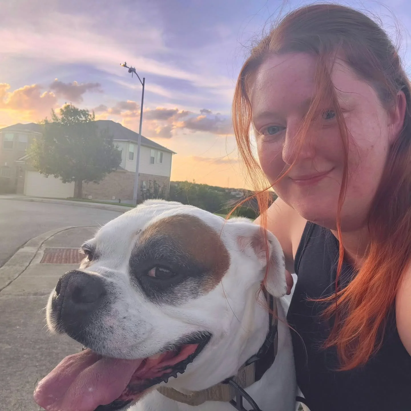 Not our usual morning meet-up, but these two didn&rsquo;t seem to mind a little evening switch-up 🐾 Sunset skies, sweet faces, and a little extra love to end the day.
#PetSitter #DogWalker #EveningWalks #SunsetSkies #HappyDogs #PetCareLife #FurryFri
