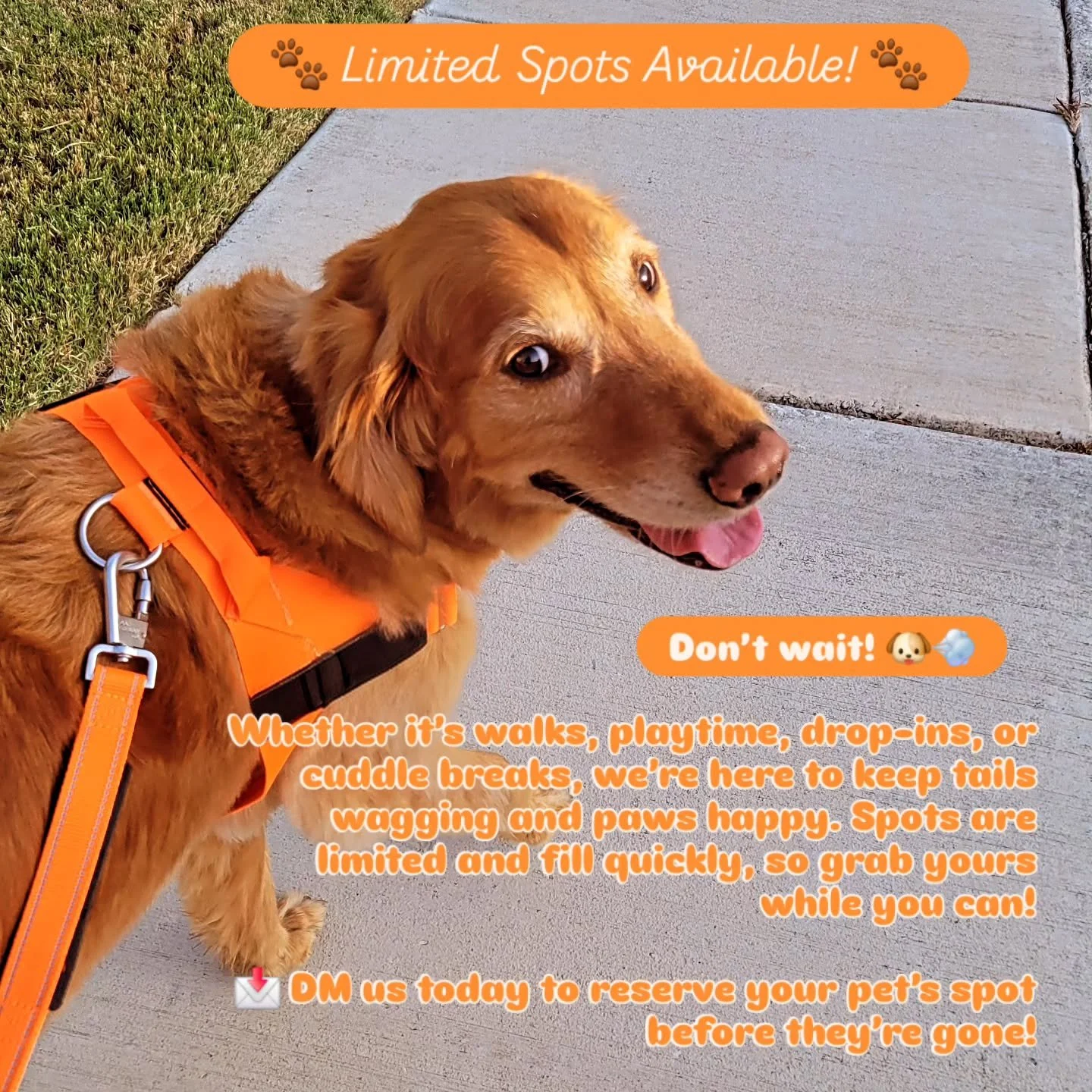 #PetCare #DogsofInstagram #RinsDen #SanAntonioPets #HappyPaws #FurryFriends #TailWags #PuppyLove #PetParents #DogWalkerSA  #DogWalkingBusiness #ILoveMyJob