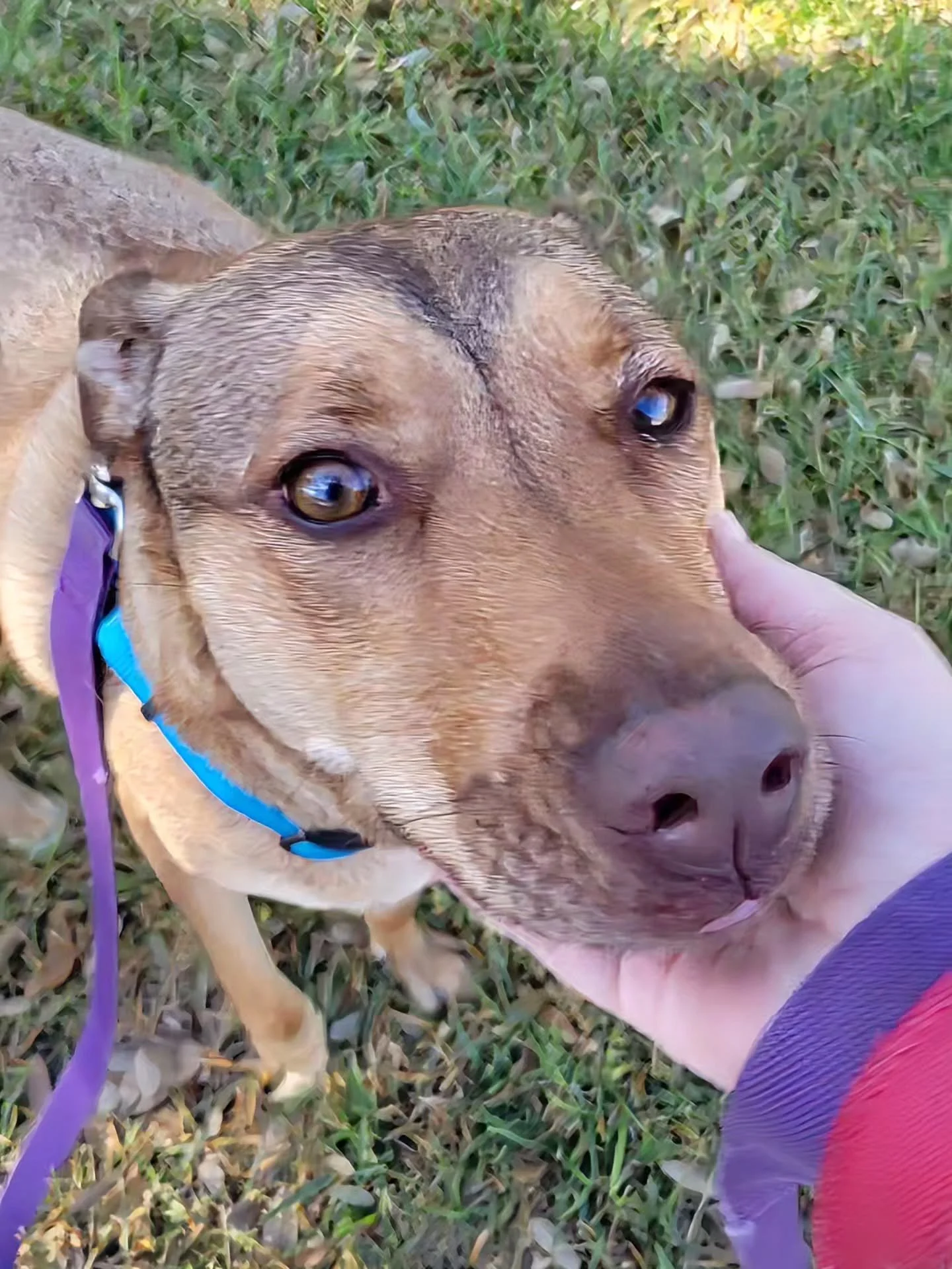 The best way to start the day. 🥰