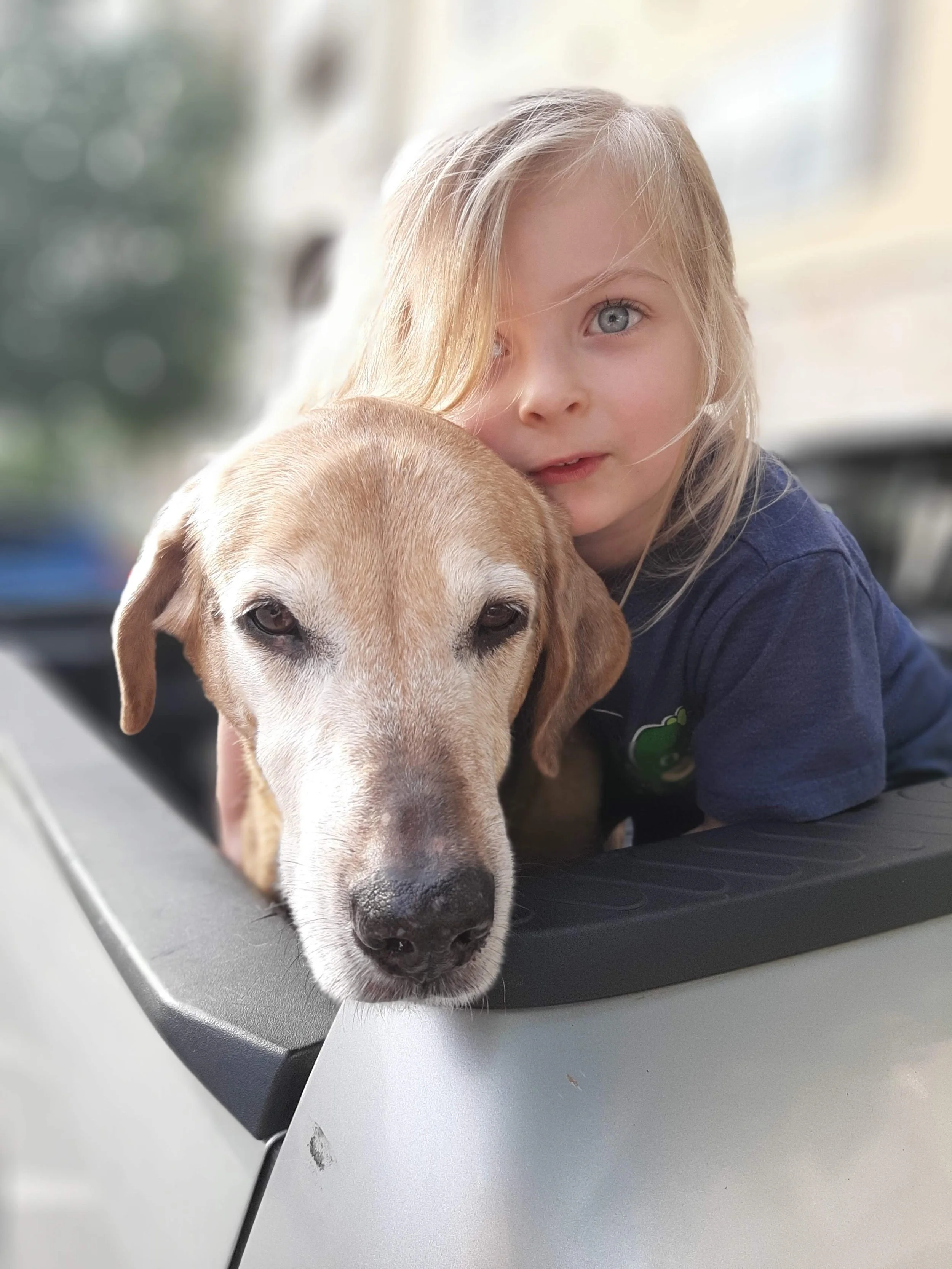 A young child with long blonde hair hugging a brown dog over the side of a vehicle. The child is wearing a blue shirt and smiling slightly. The dog appears relaxed with its head resting on the vehicle.