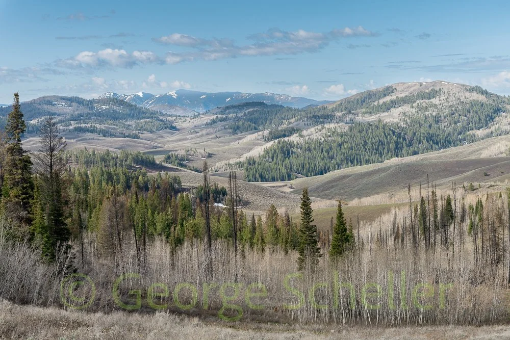 Salt Creek Pass 1.jpg