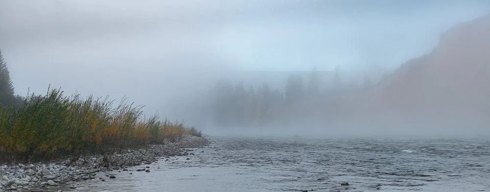 Foggy Deadmans.jpg
