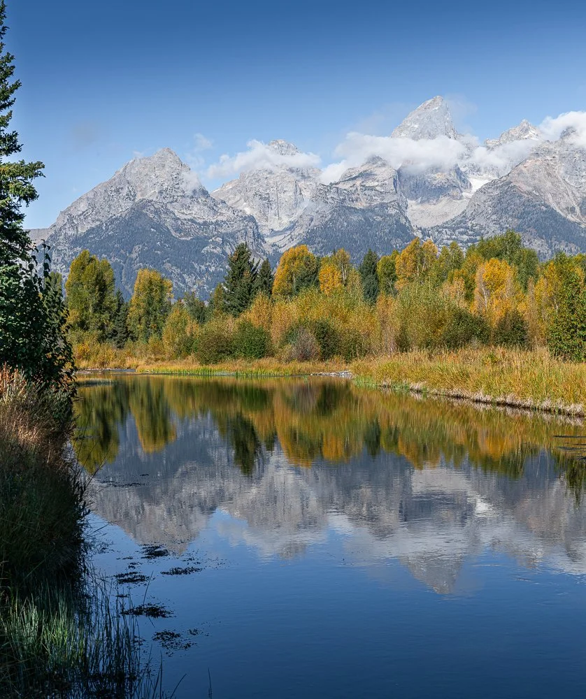 Schwabacher reflection.jpg