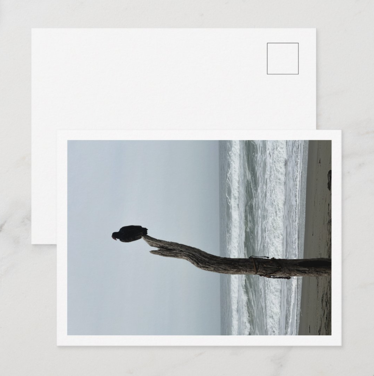 Screenshot 2026-02-19 at 19.10.00.png