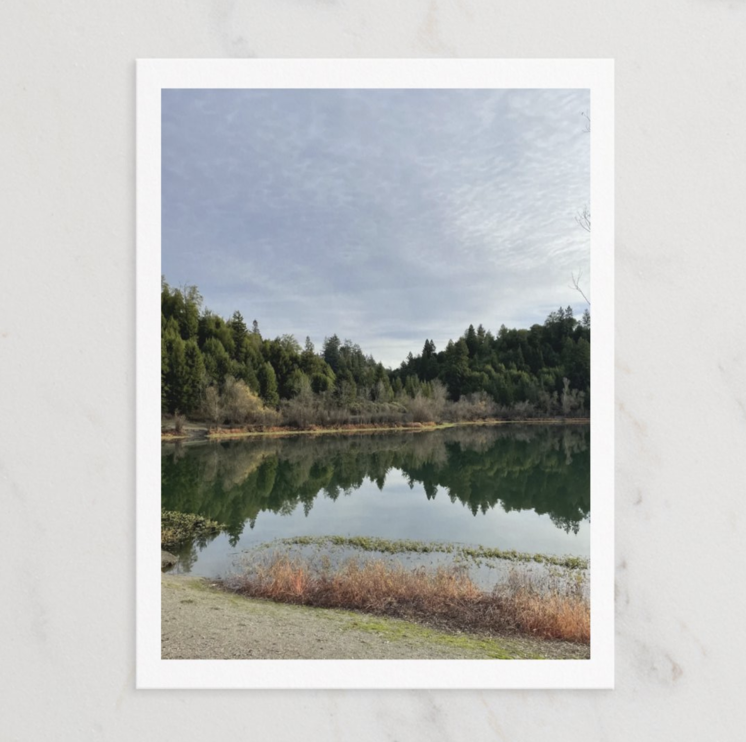 Screenshot 2026-02-19 at 19.13.32.png