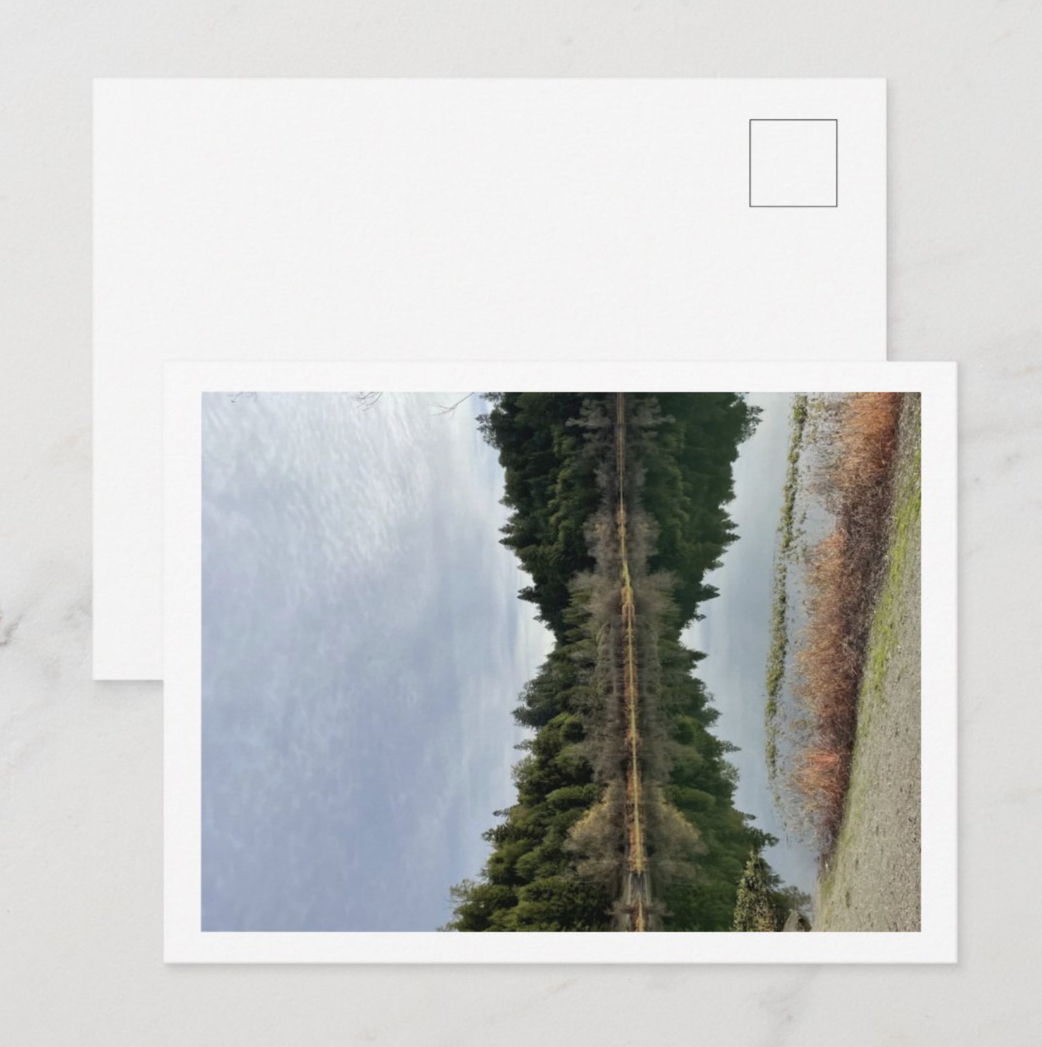 Screenshot 2026-02-19 at 19.13.37.png