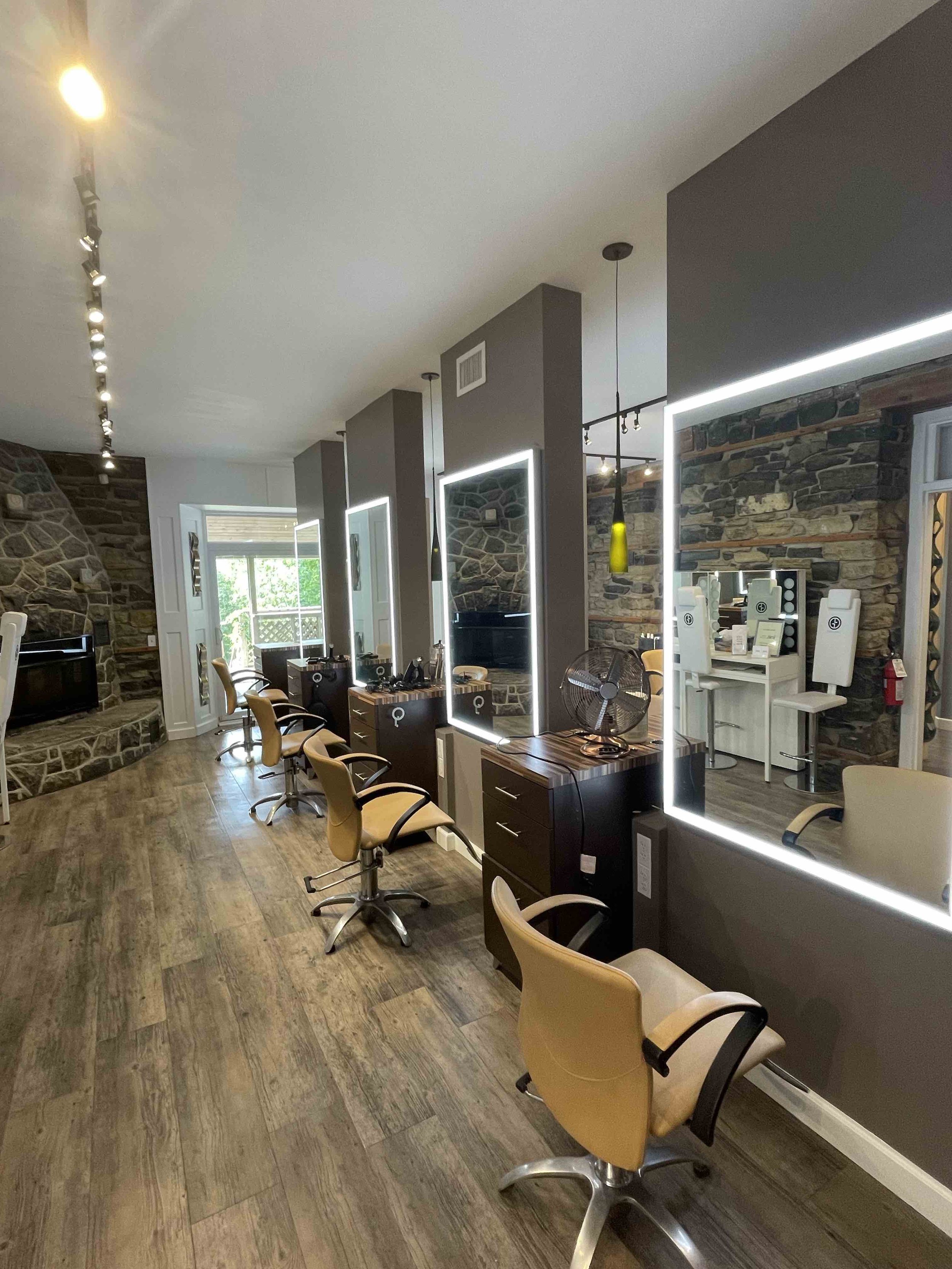 painted hair salon