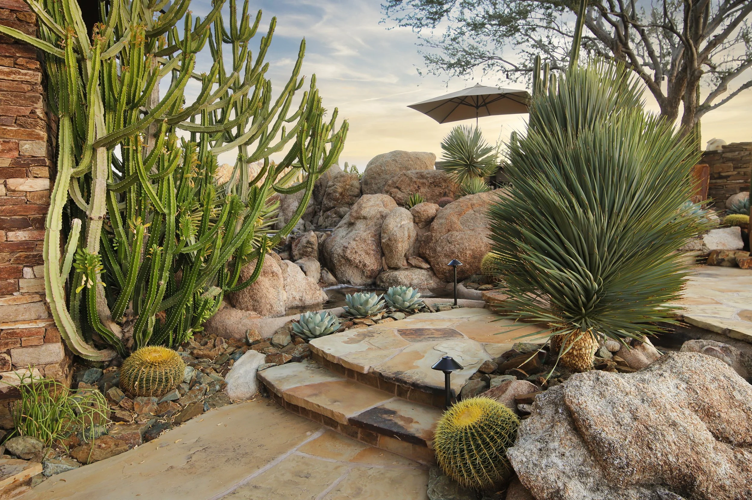 Desert Sculpture Garden: Curated Sonoran Plantings in Estancia | High Desert Designs