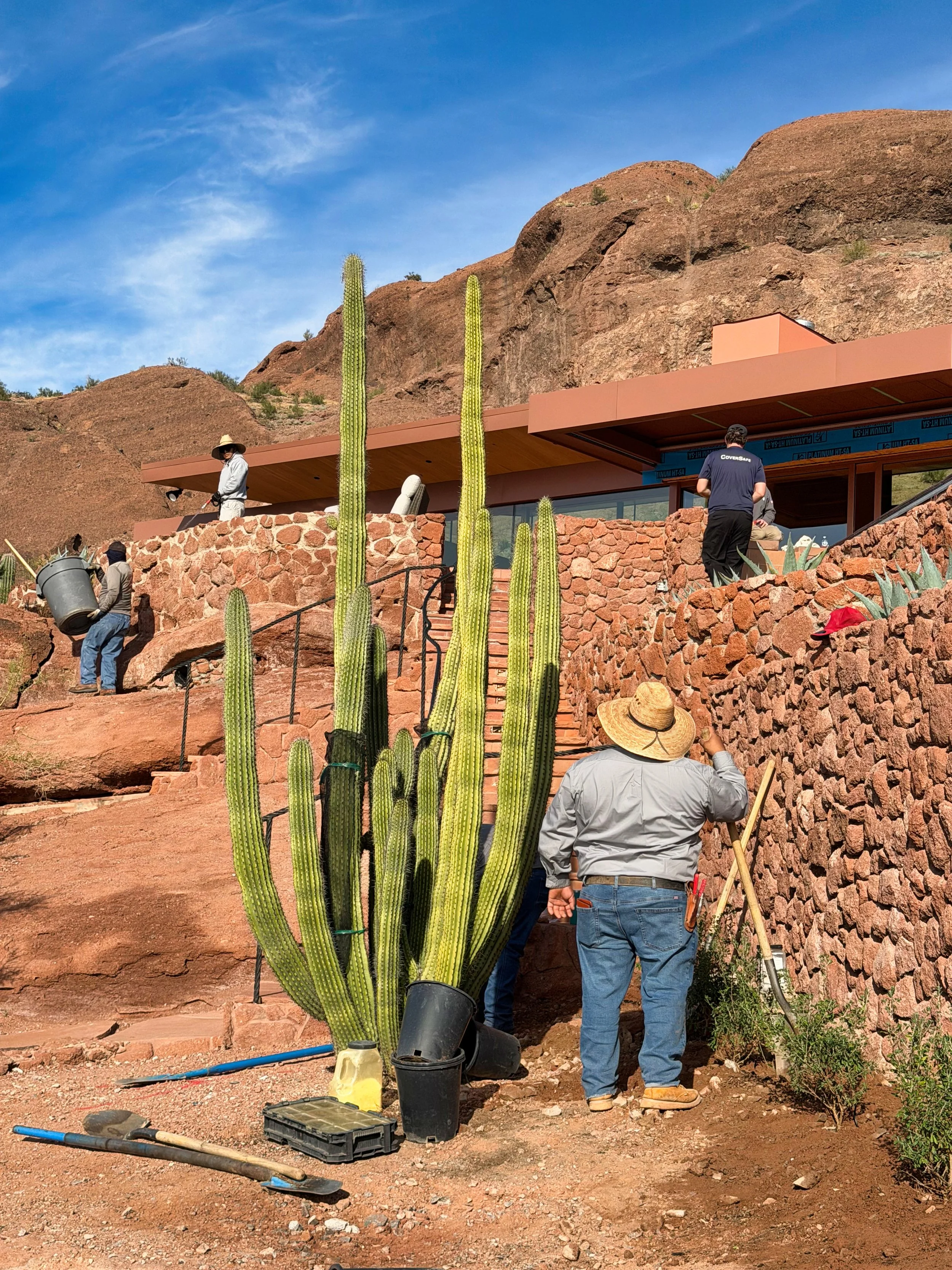 Behind the Scenes: The First Stages of a High Desert Landscape Installation