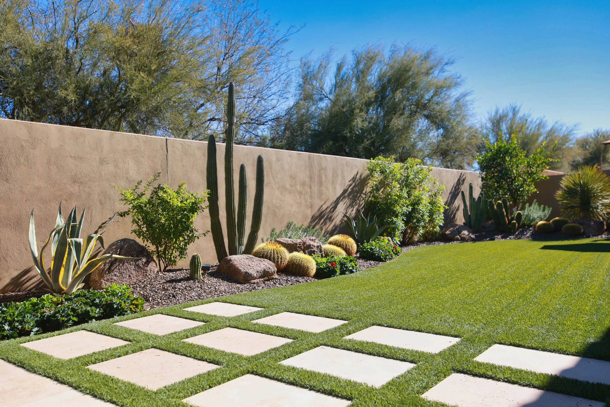 Backyard Transformation: A Cohesive Desert Landscape