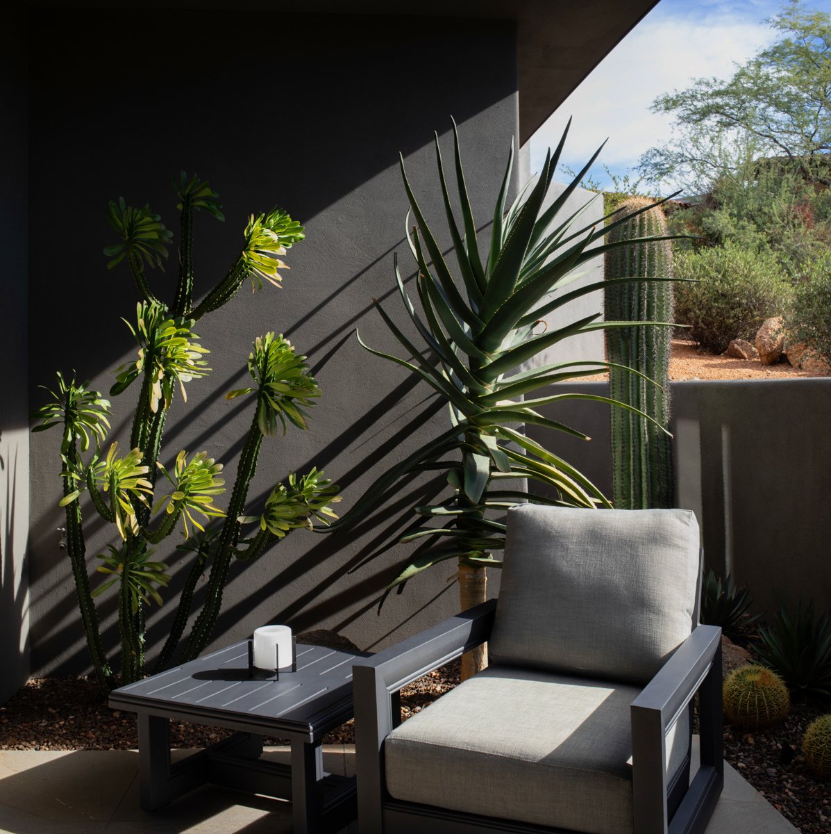 Outdoor patio with gray lounge chair, side table with candle, and large desert plants including a cactus and yucca against dark wall.