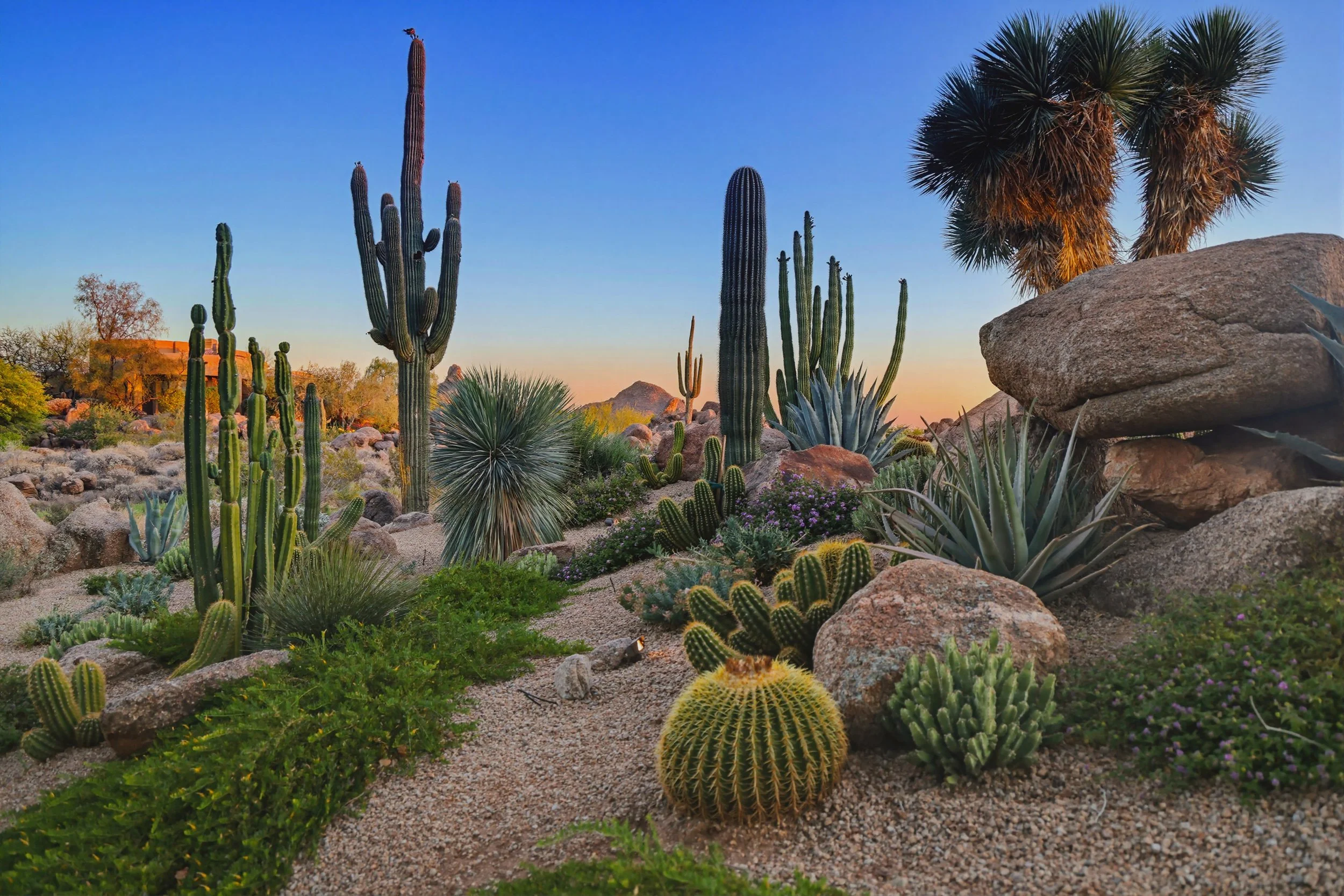 Troon, Scottsdale