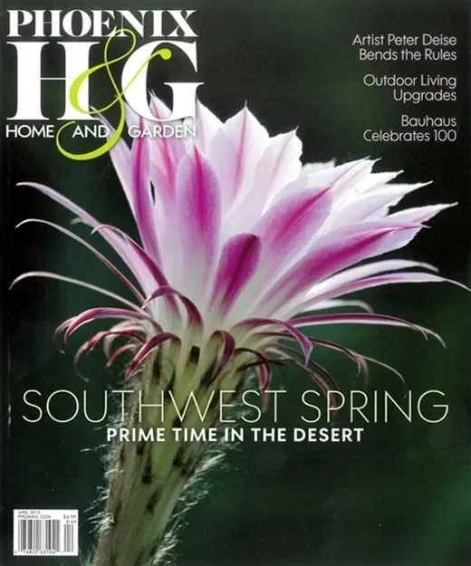 Cover of Phoenix Home and Garden magazine featuring a close-up of a desert flower with pink and white petals, and text on spring and desert life.