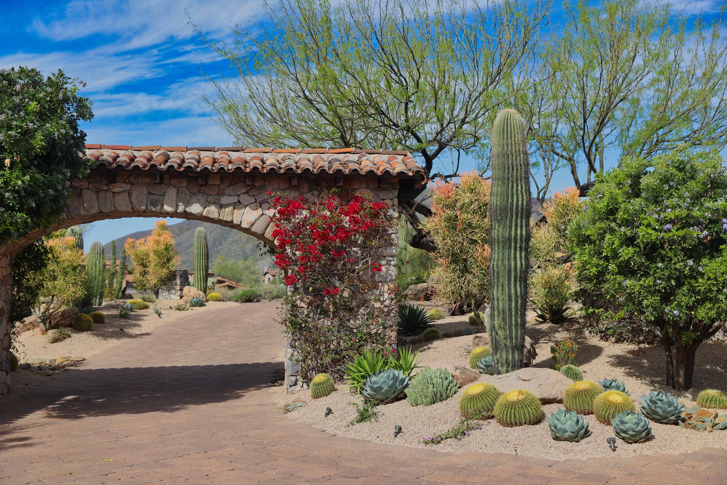 Desert Mountain