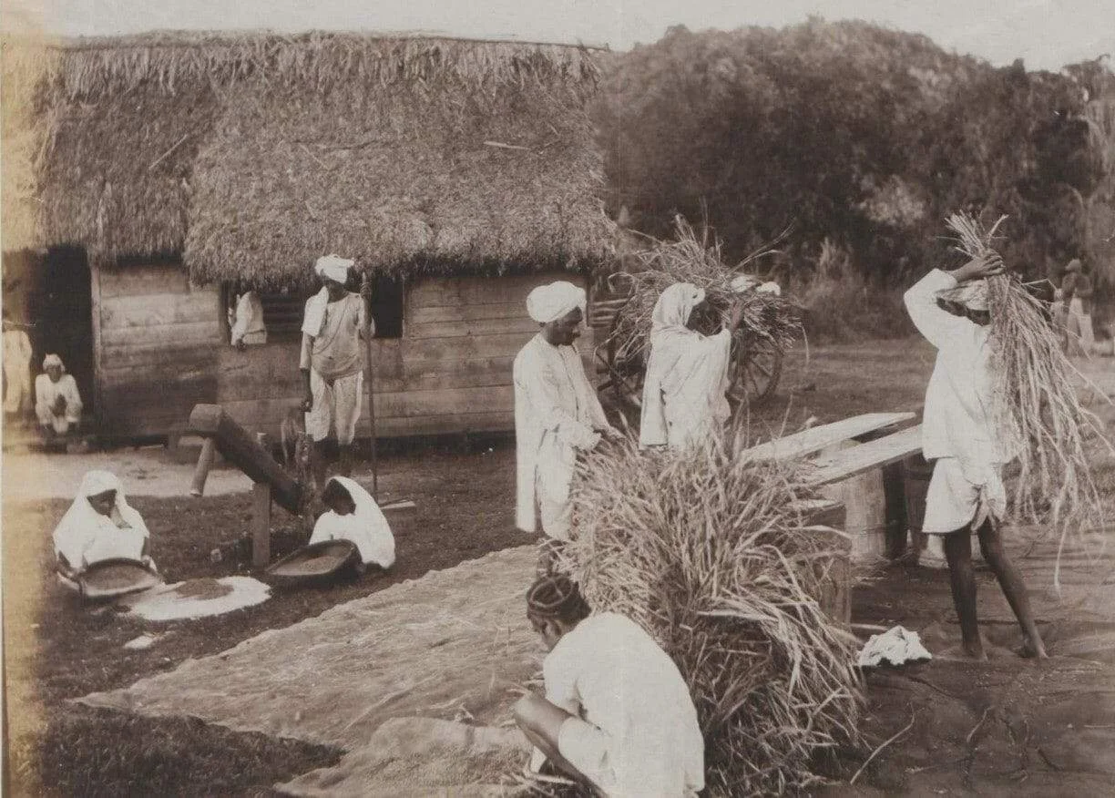Beyond Borders: The Global Journey of South Asian Culture
