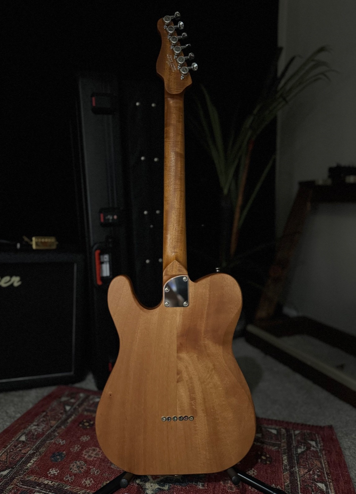 myers-luthier-guitar-t-hollow-model-0005-rear-full.png