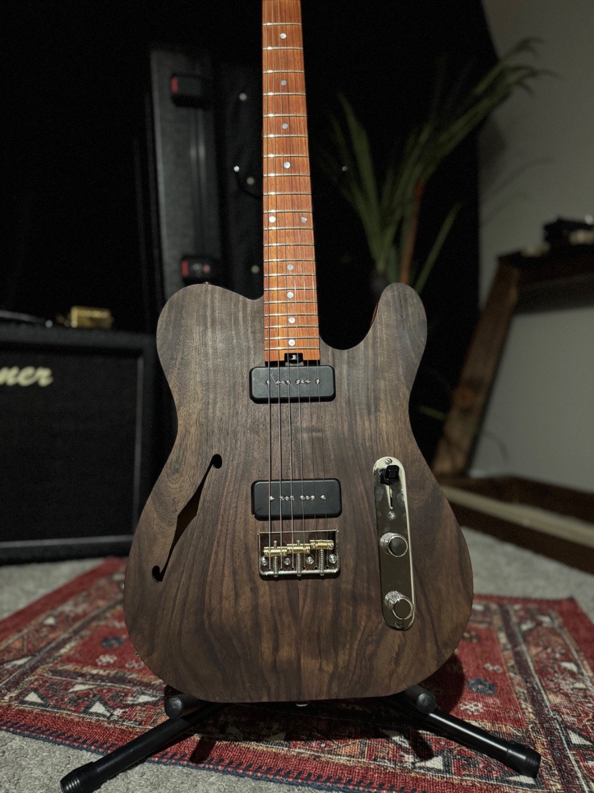 myers-luthier-guitar-t-hollow-model-0005-partial-front.jpg