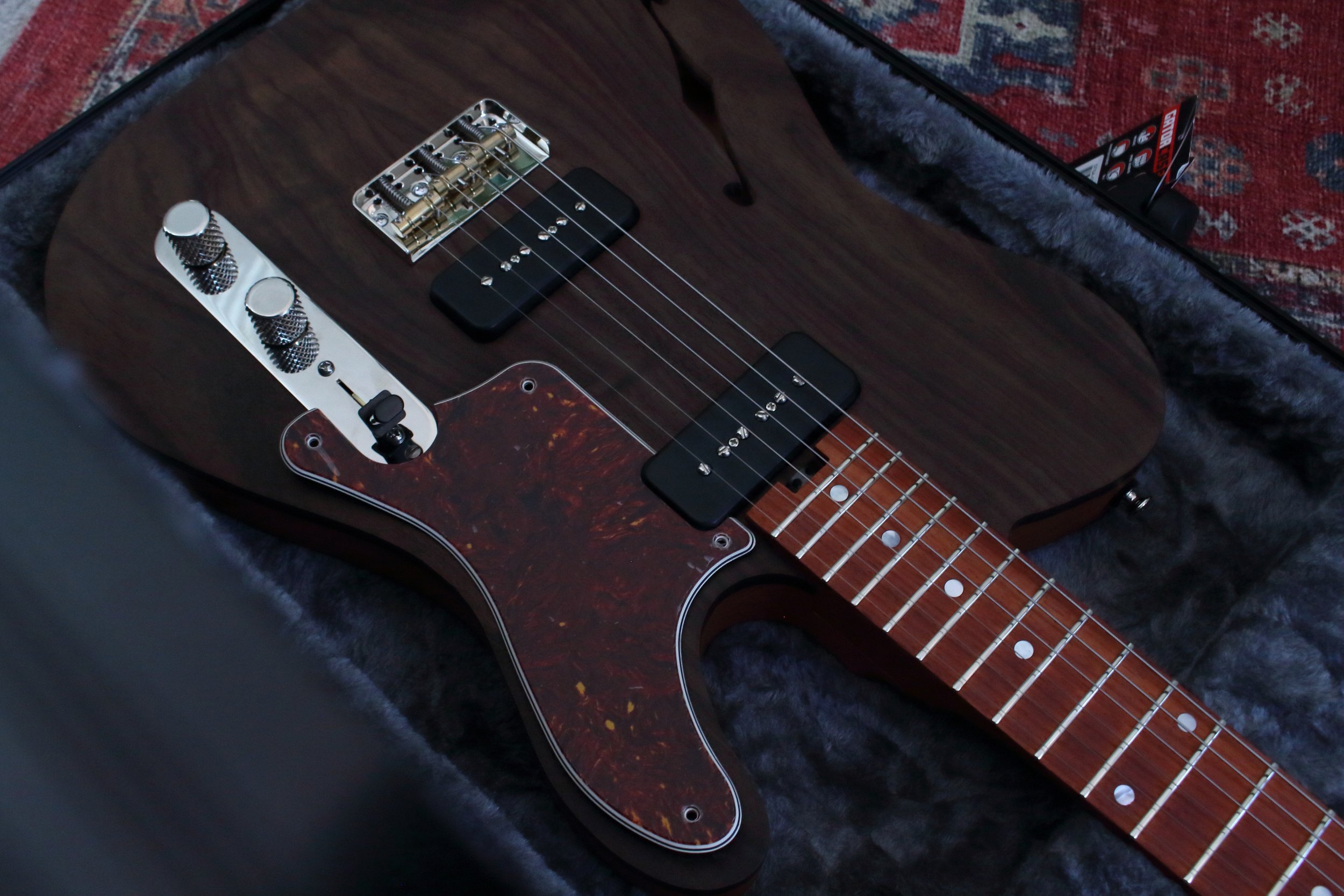 with-pickguard.JPG