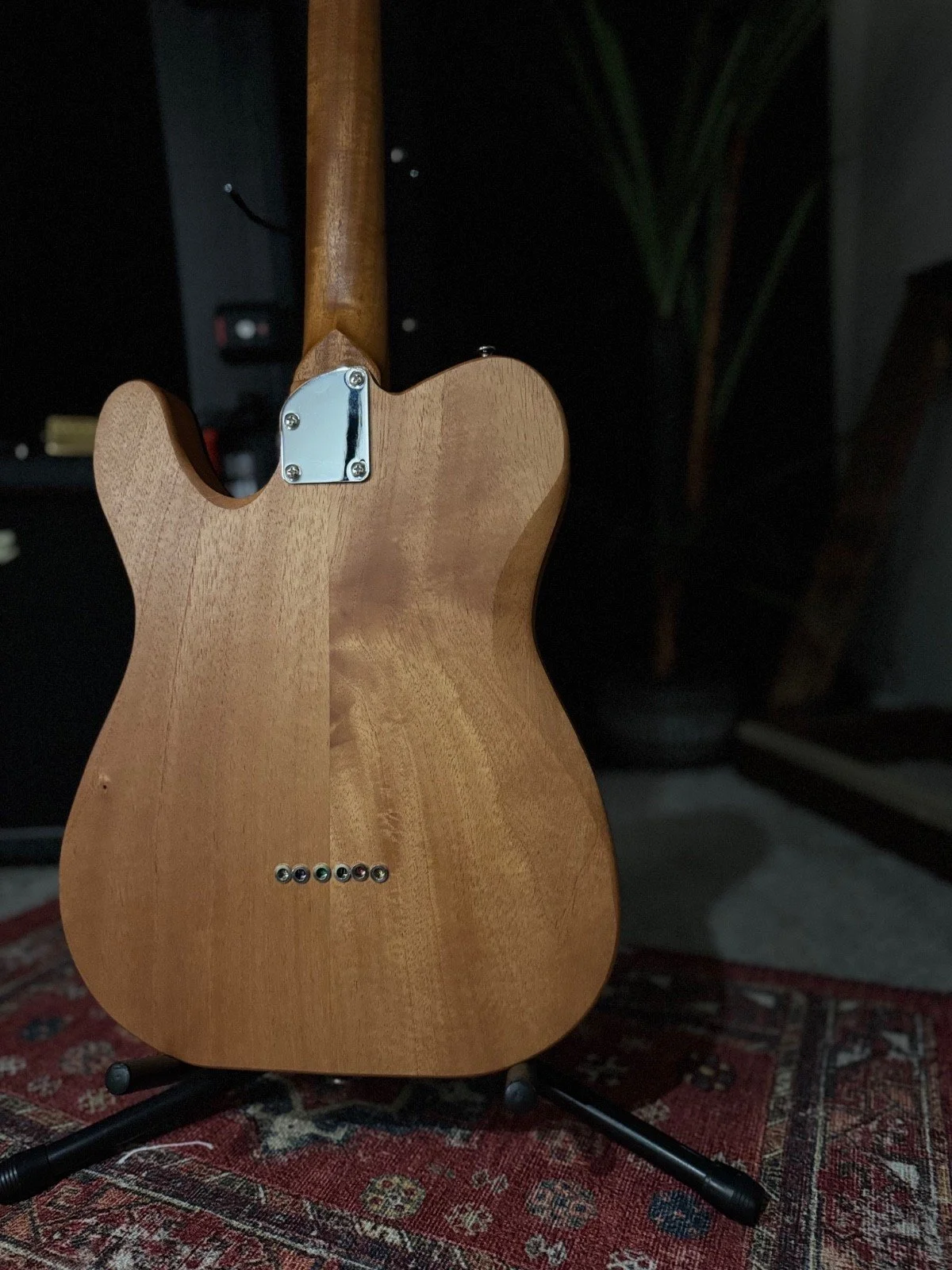 myers-luthier-guitar-t-hollow-model-0005-rear-close.jpg