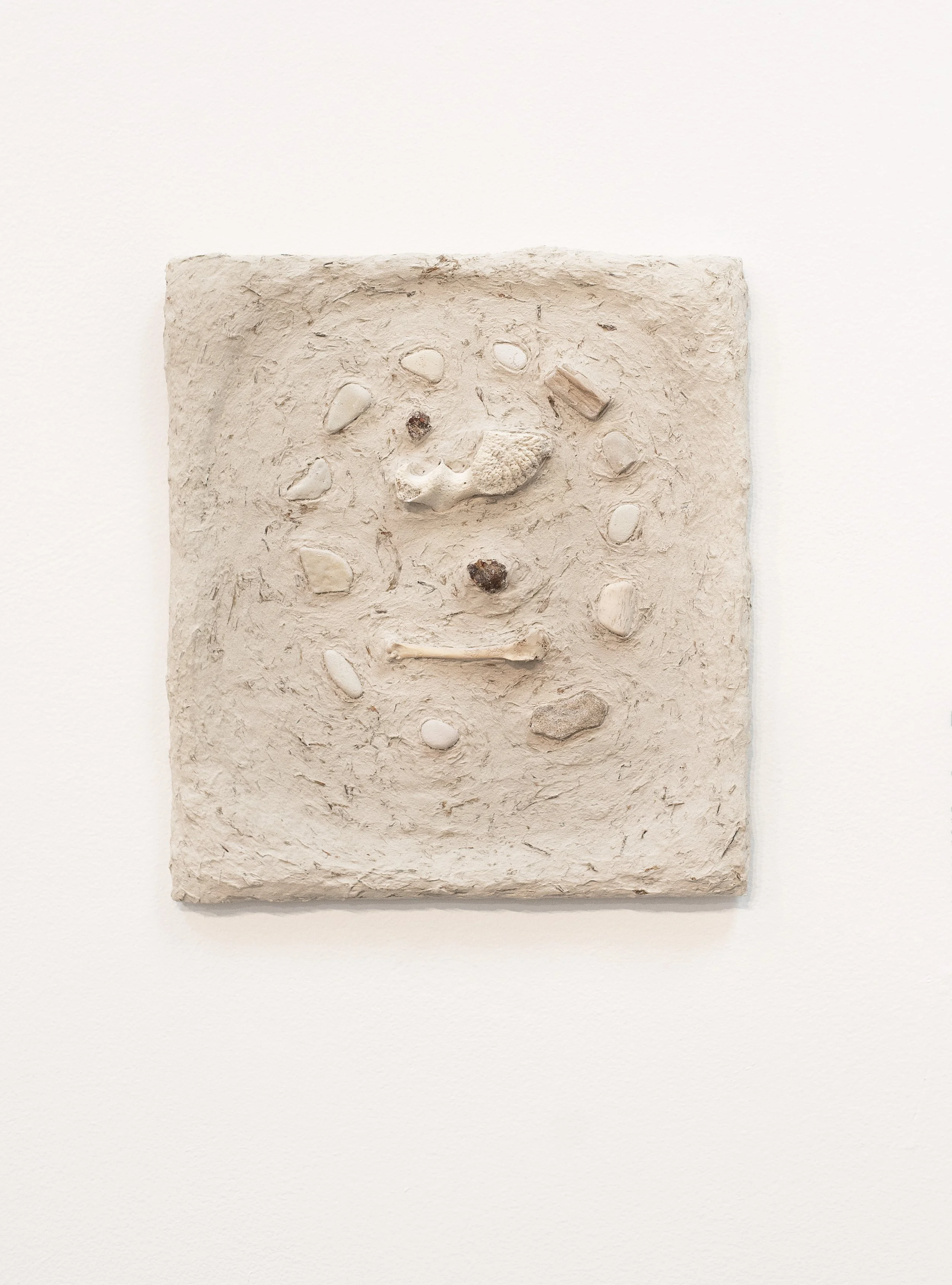 The Passage of Time, 2024.
Paper pulp, flour, glue, joint compound, marigold petals, stones, petrified wood, animal bones, and pine resin, 10"x11.5"