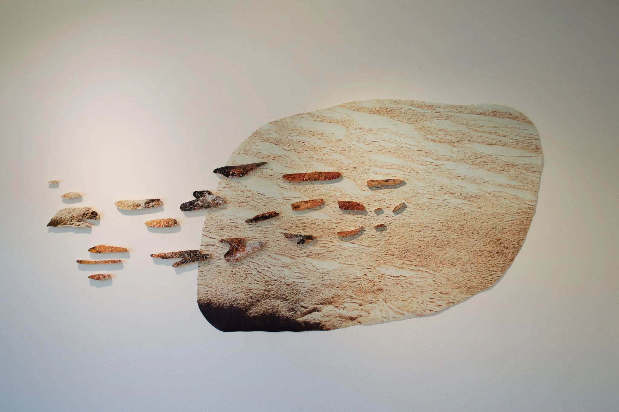 Geyser Tracing, 2025. Inkjet print on wood &
canvas. Approx. 33.5”x50”