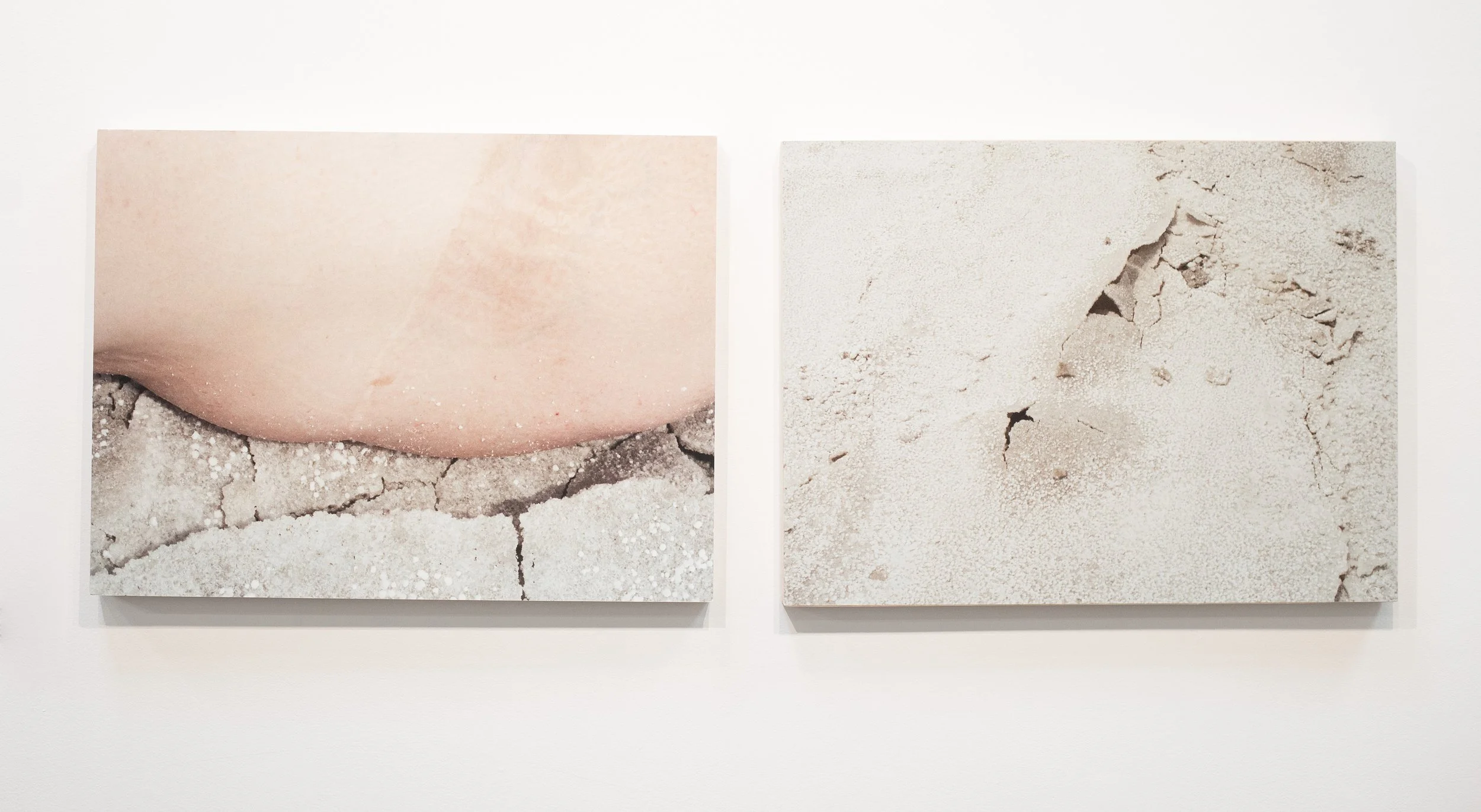 Striation 1 and Striation 2, 2024. Inkjet print on wood, 18"x24"