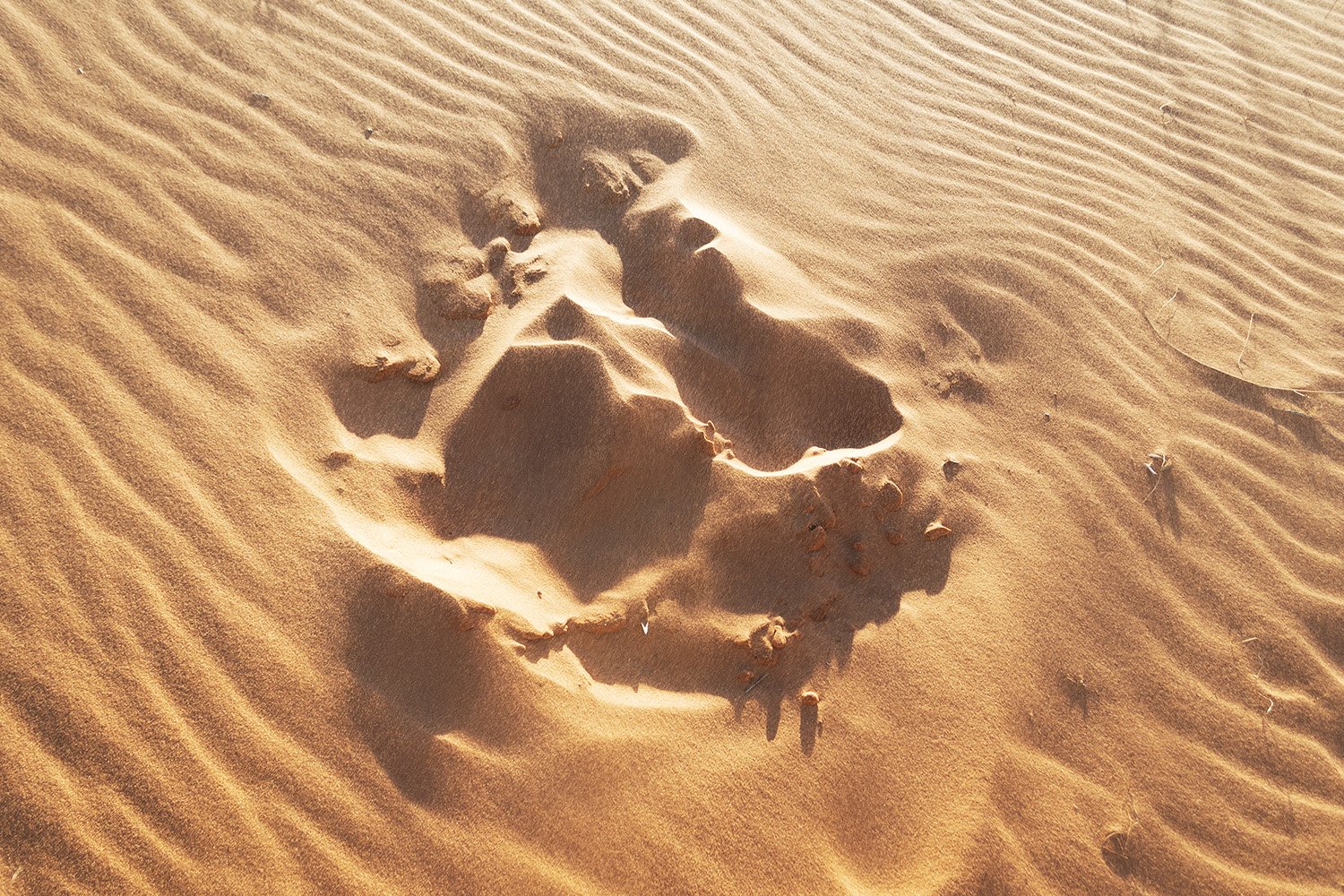 Sand Marks