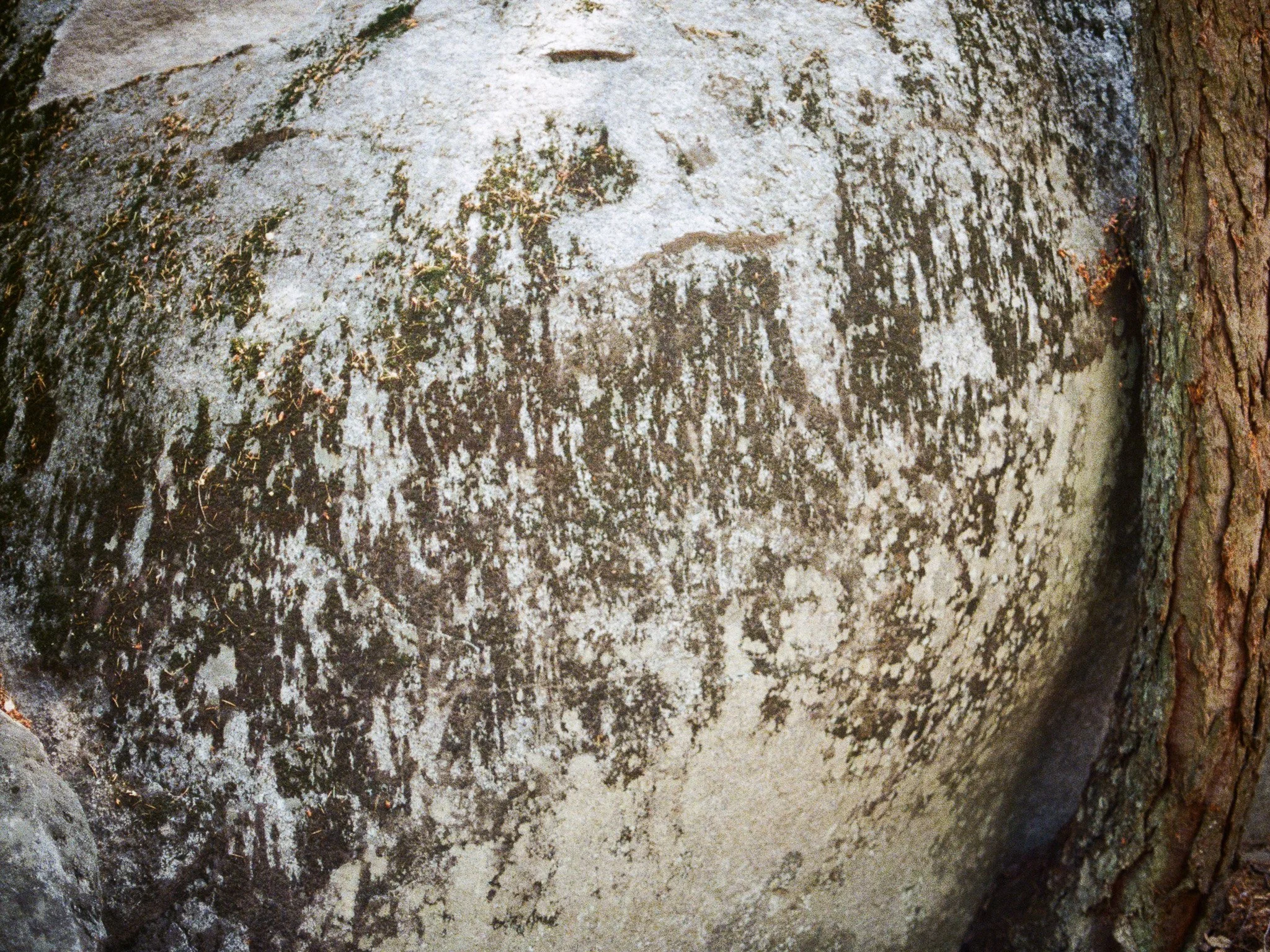 Stretch Marks, 2025.