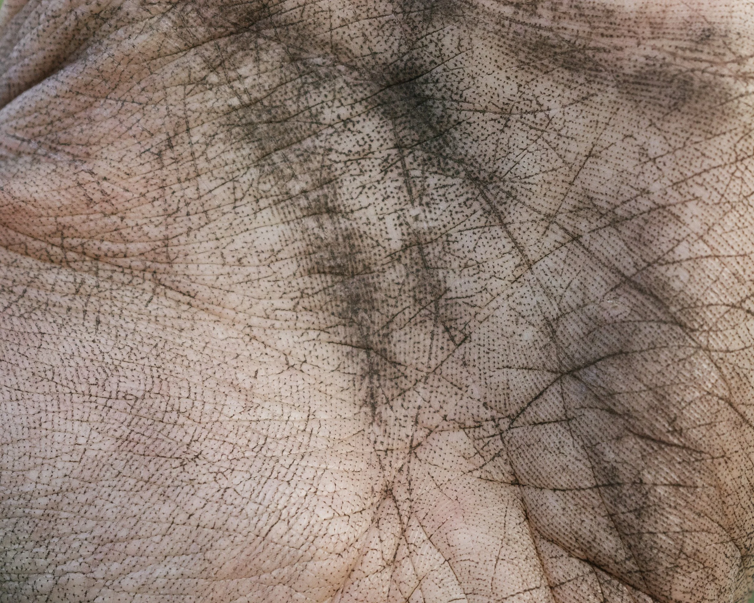 Range Fire Stains, 2021. Inkjet Print, 8"x10".